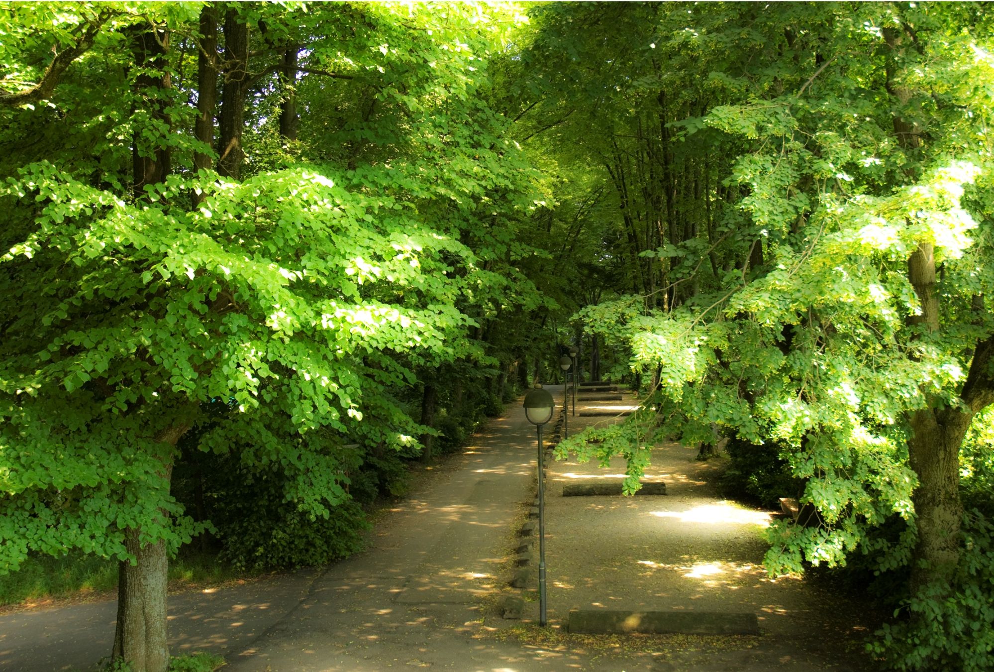 Omgeving