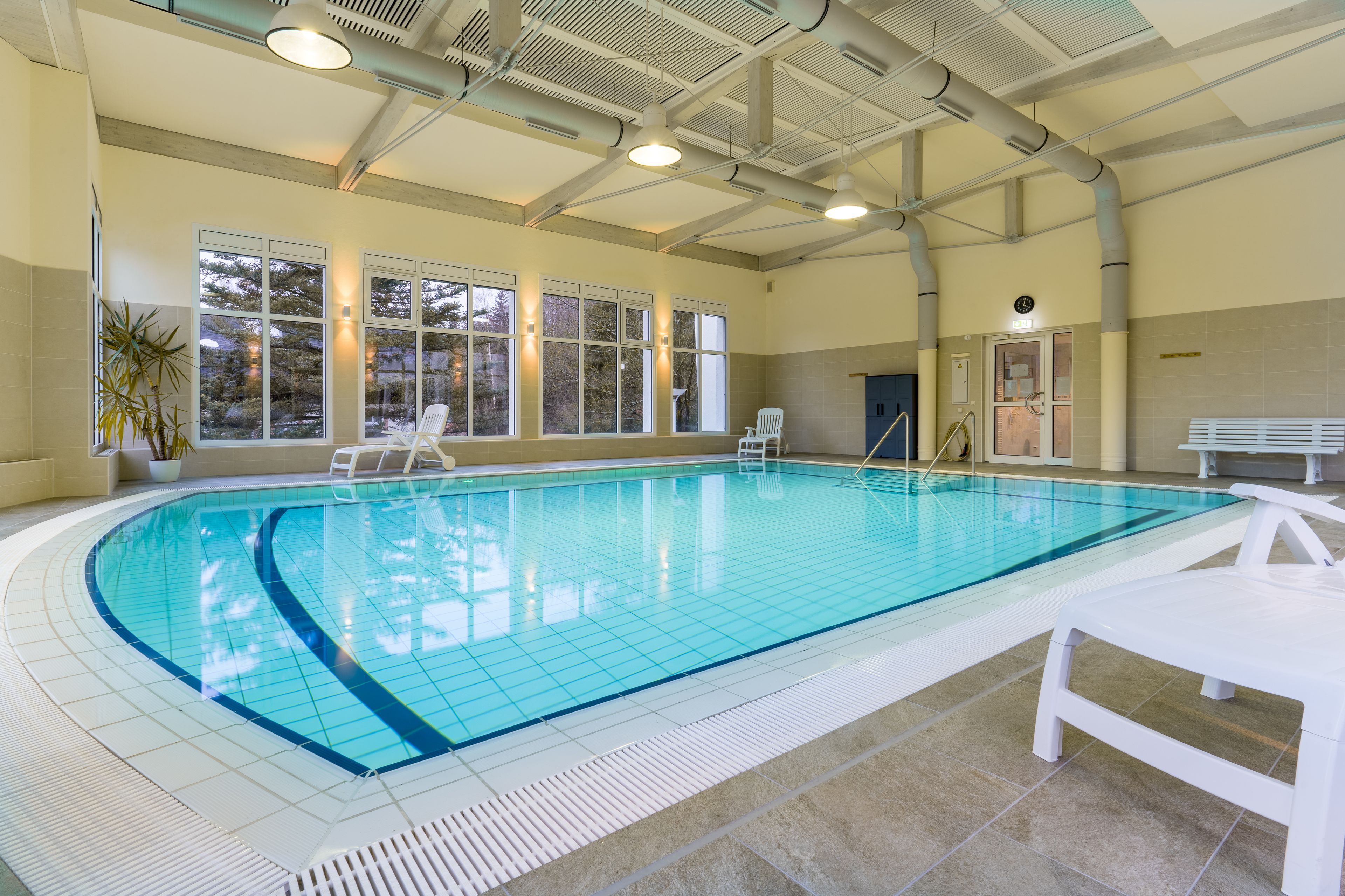 Wellness