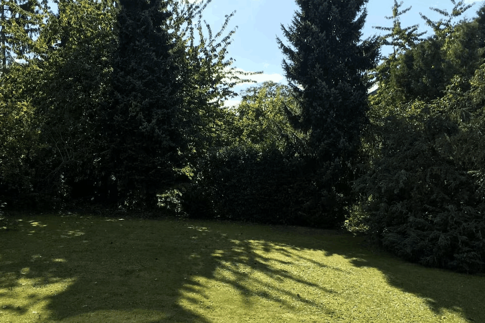Omgeving