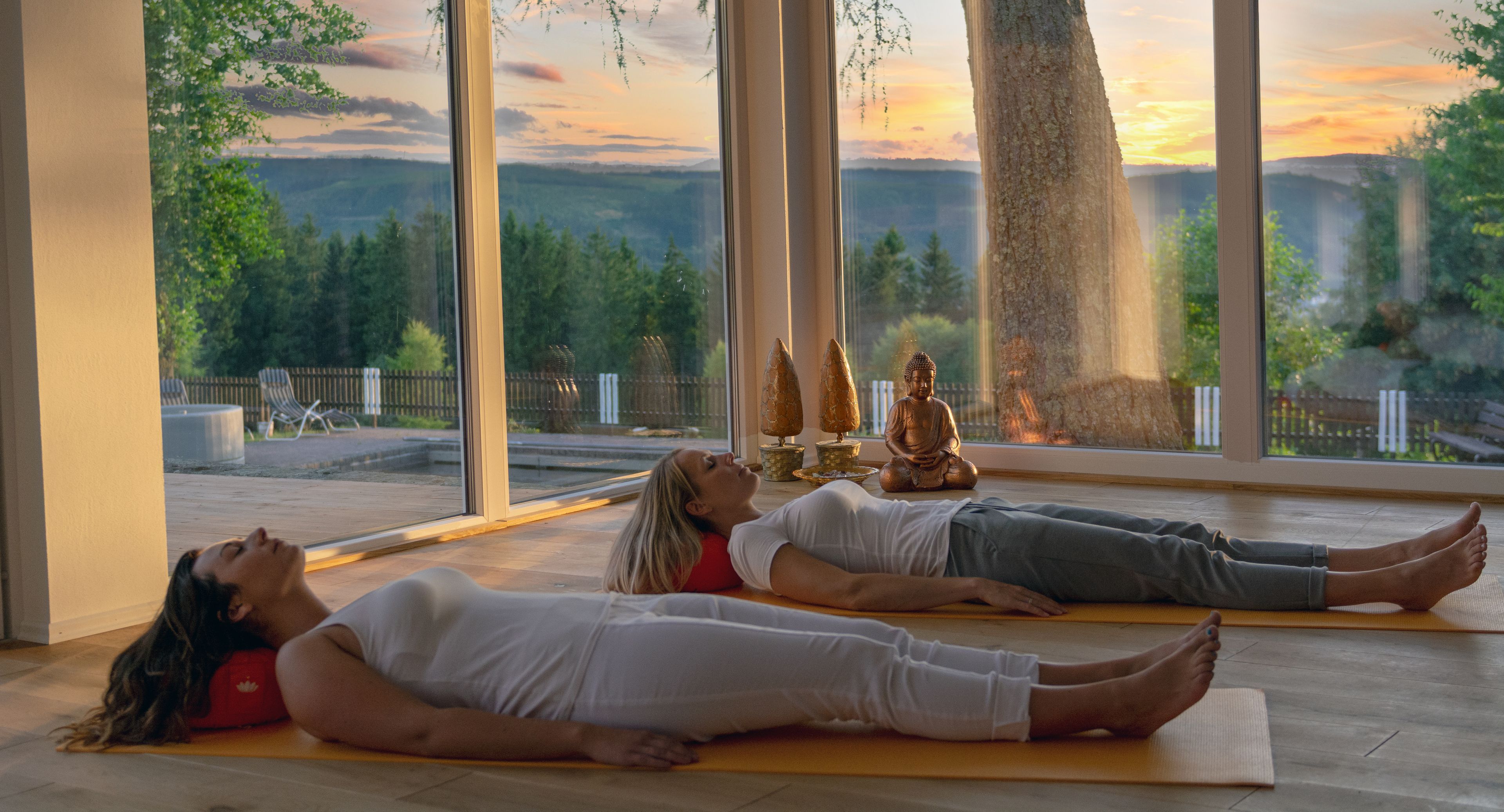 Wellness