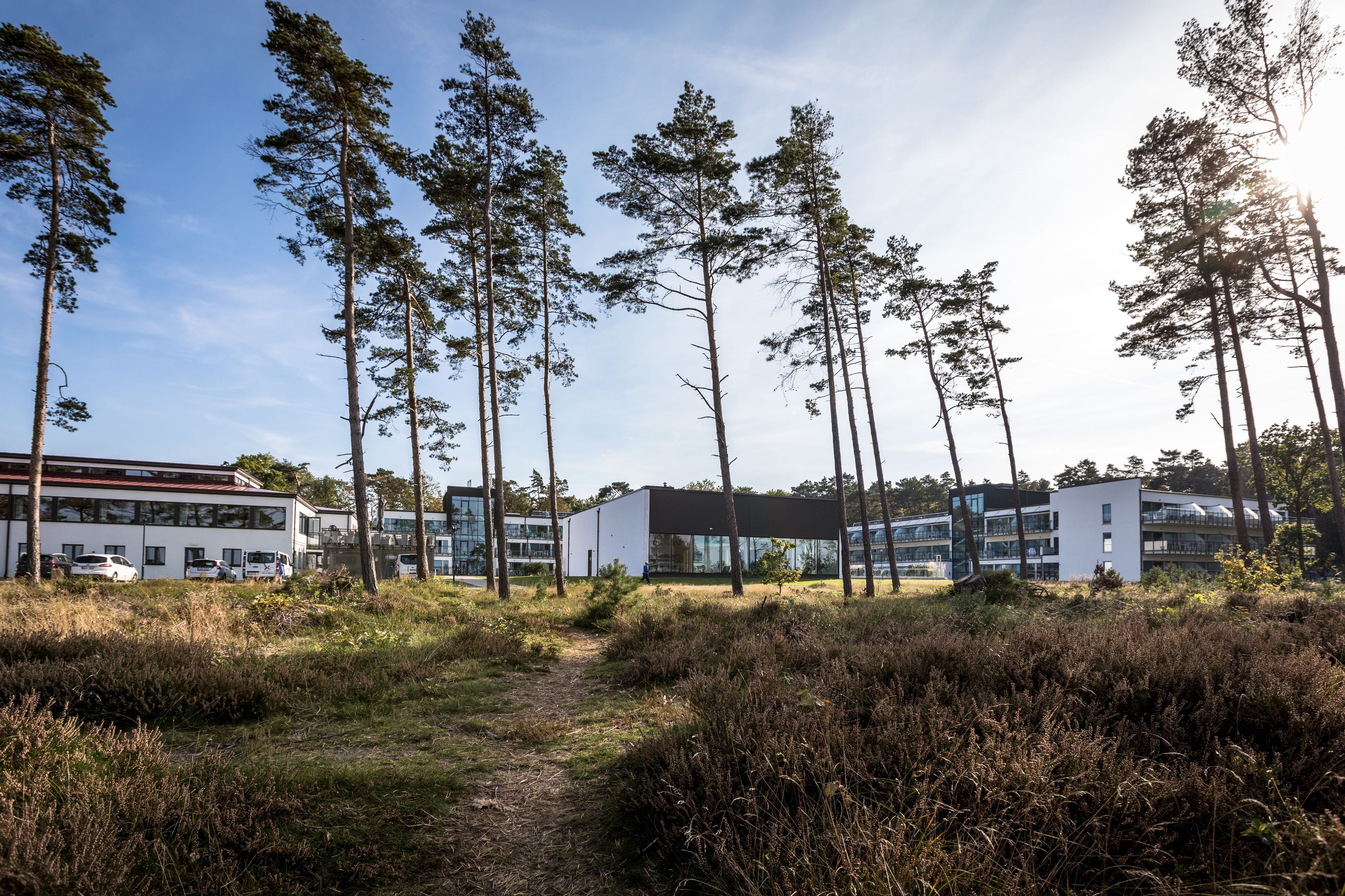 Omgeving