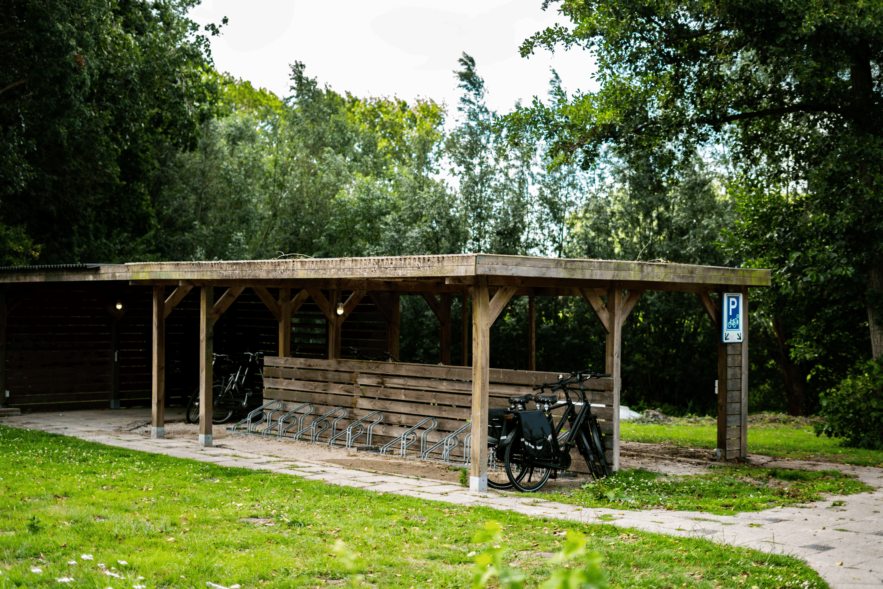 Omgeving