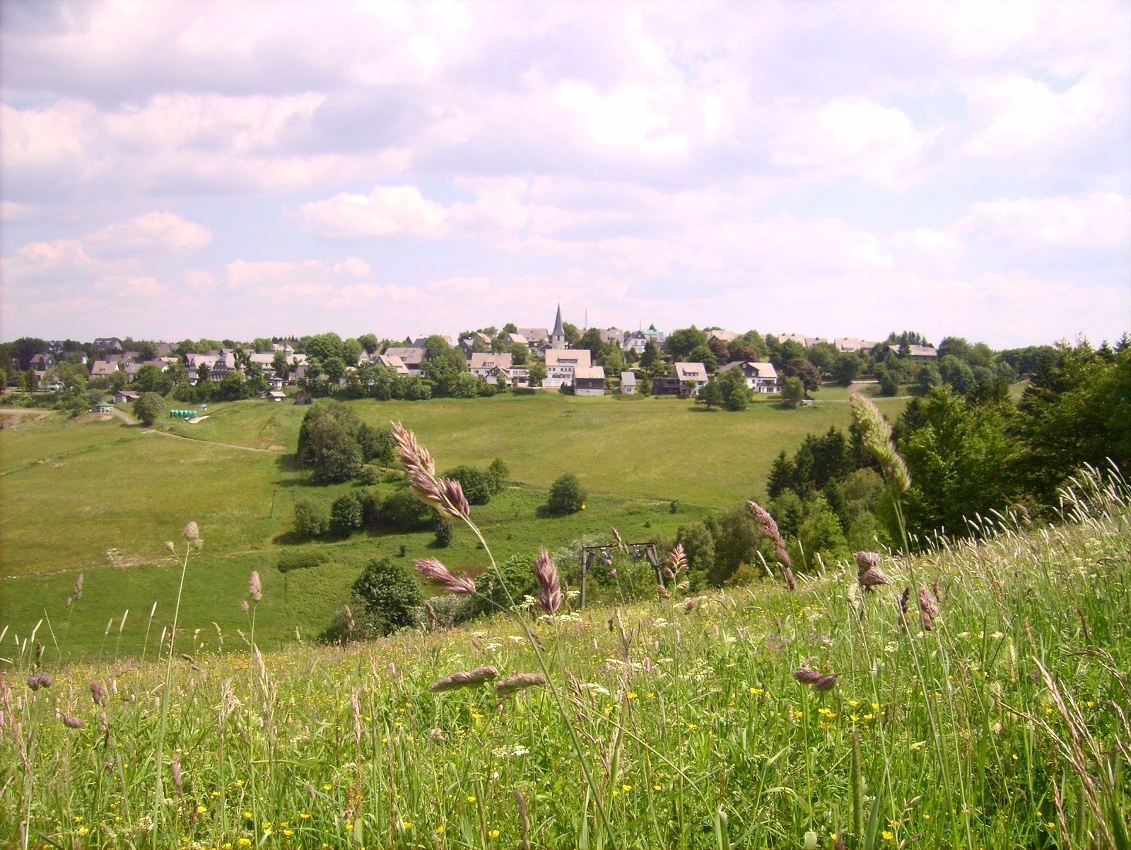 Omgeving