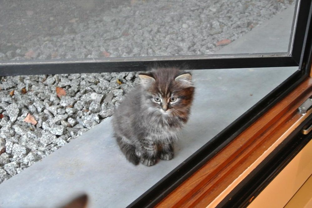 Algemeen