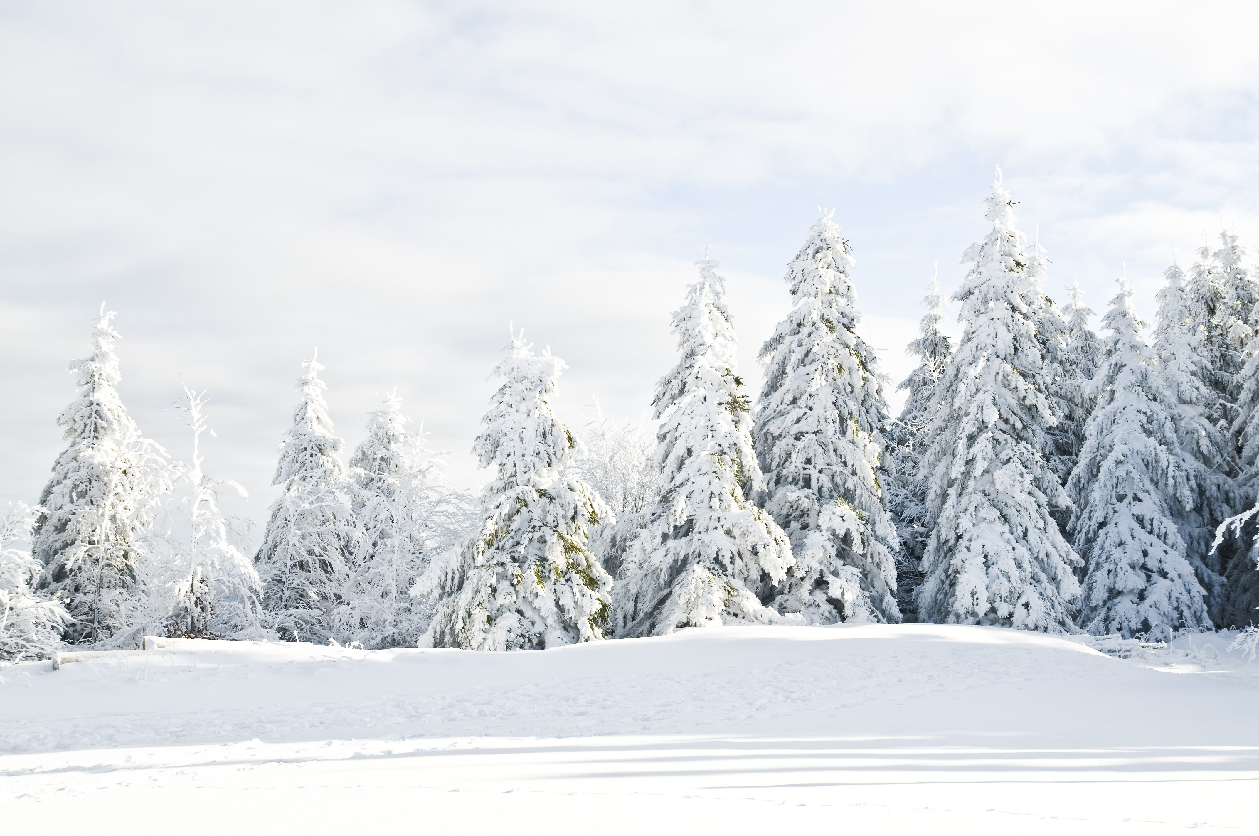 Top 5 activiteiten in Winterberg