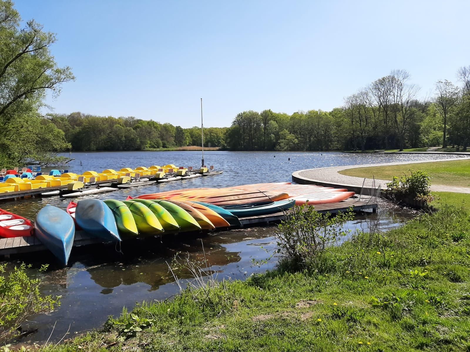 Omgeving