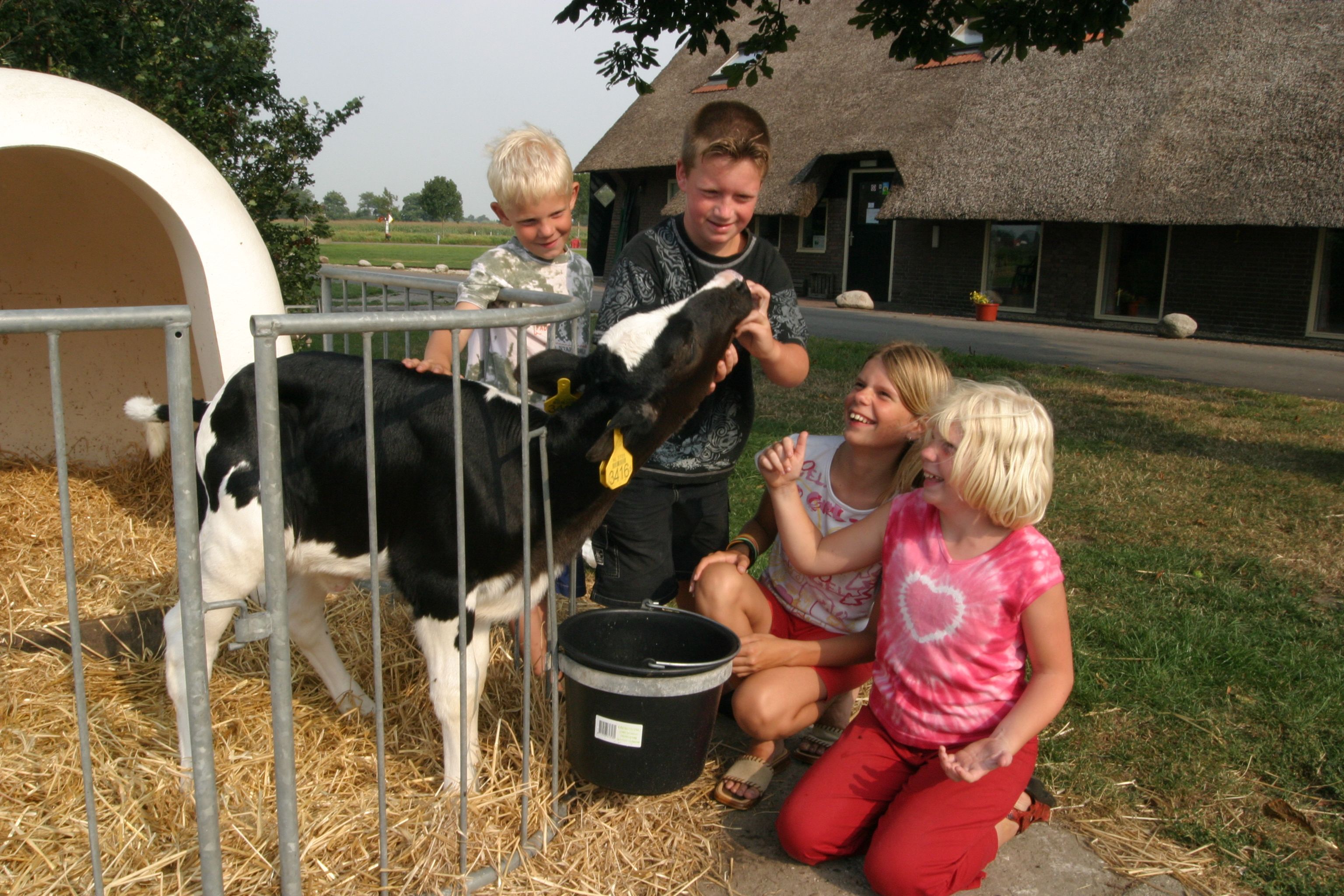 Omgeving