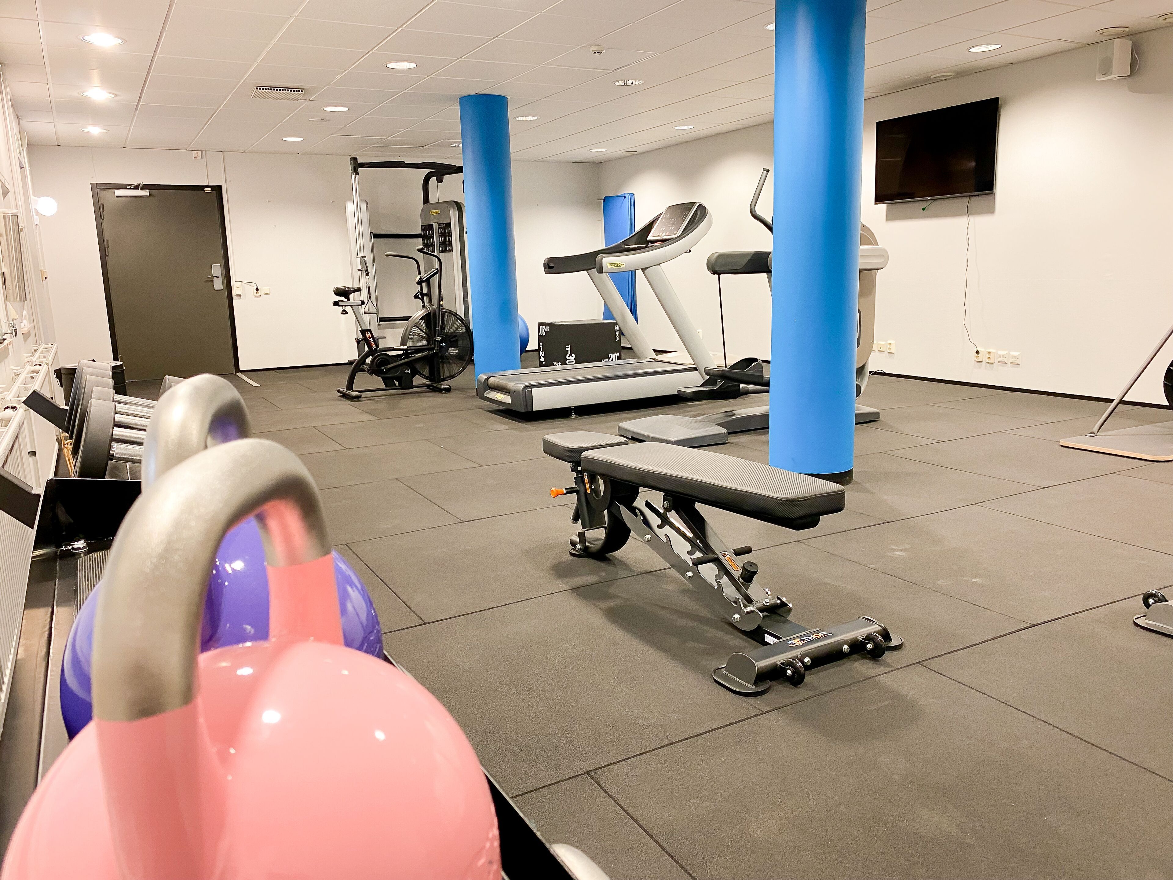 Wellness