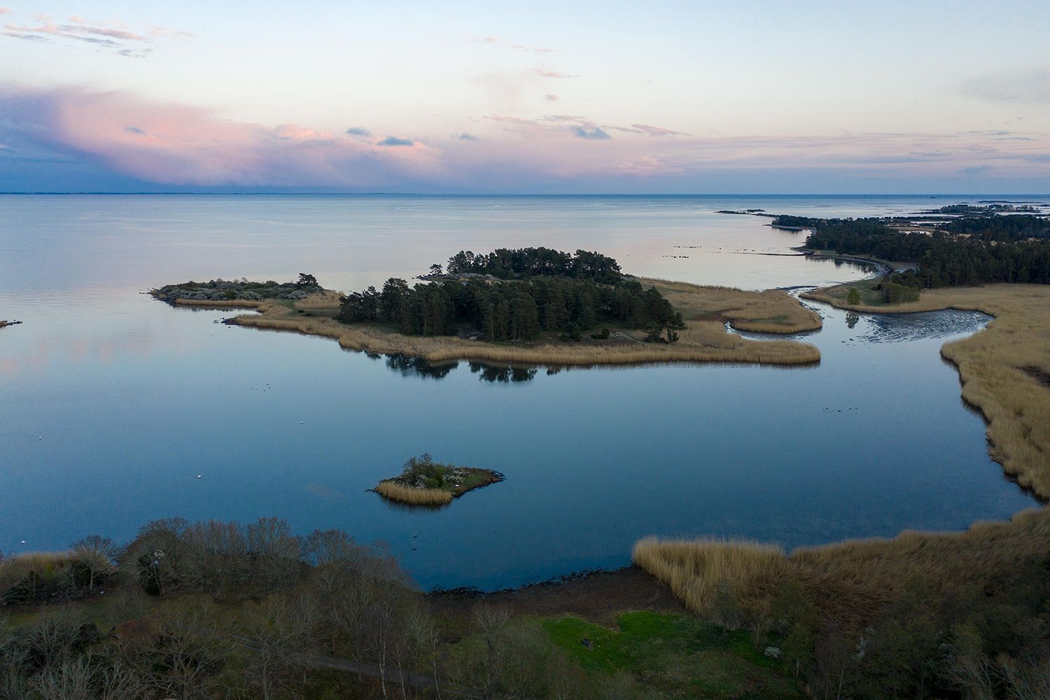 Omgeving