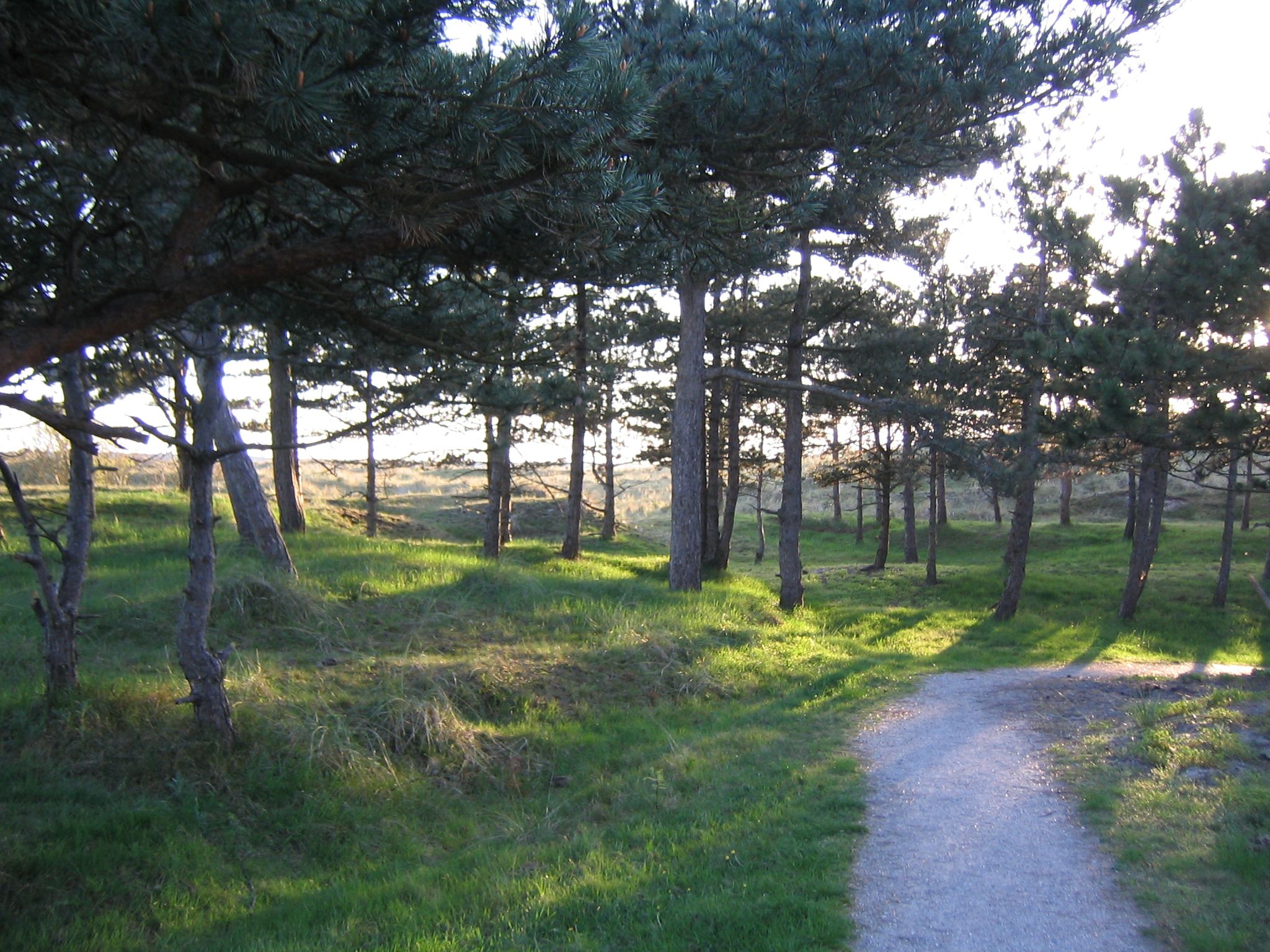 Omgeving