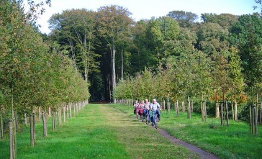 Omgeving