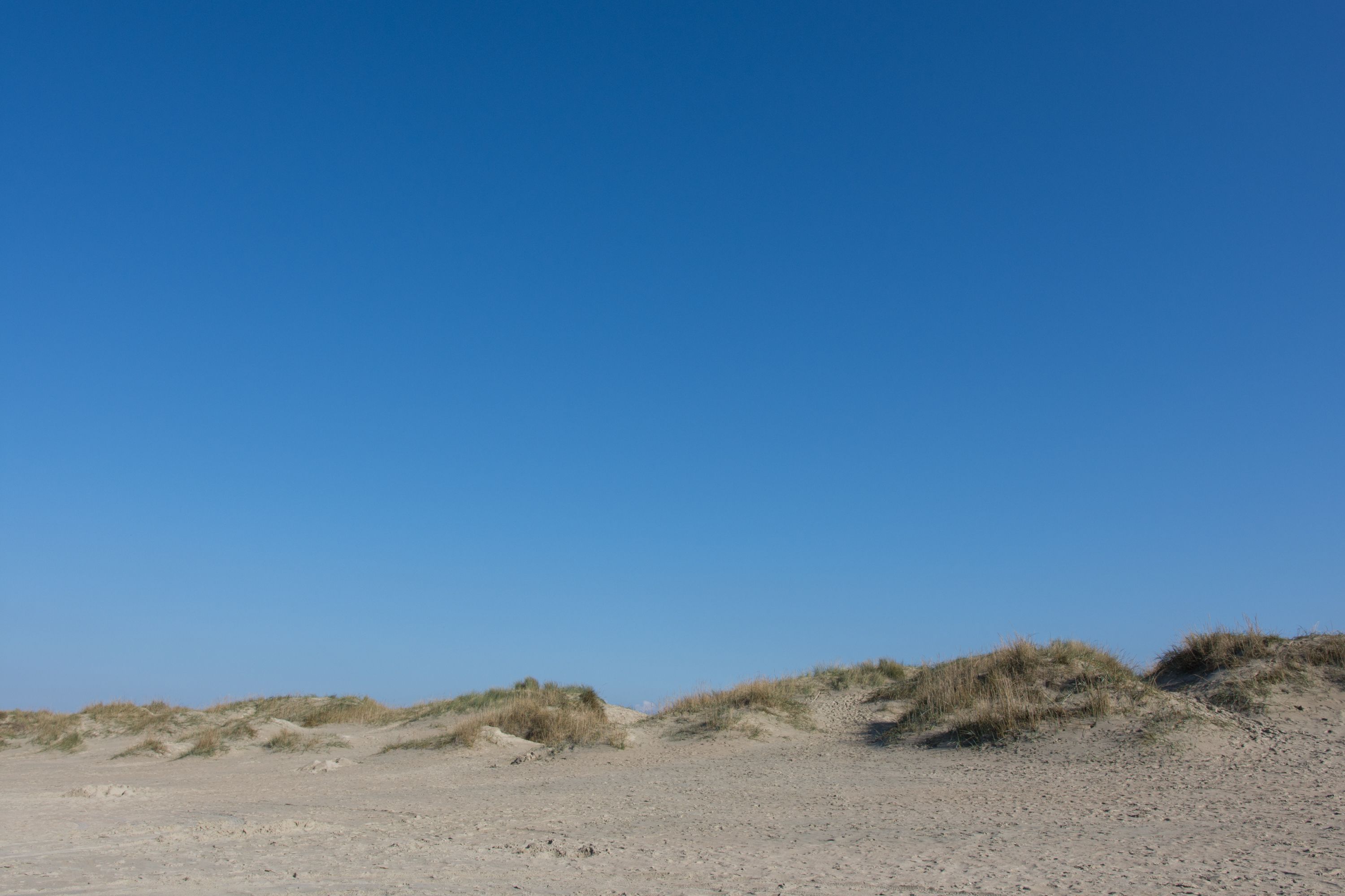 Omgeving