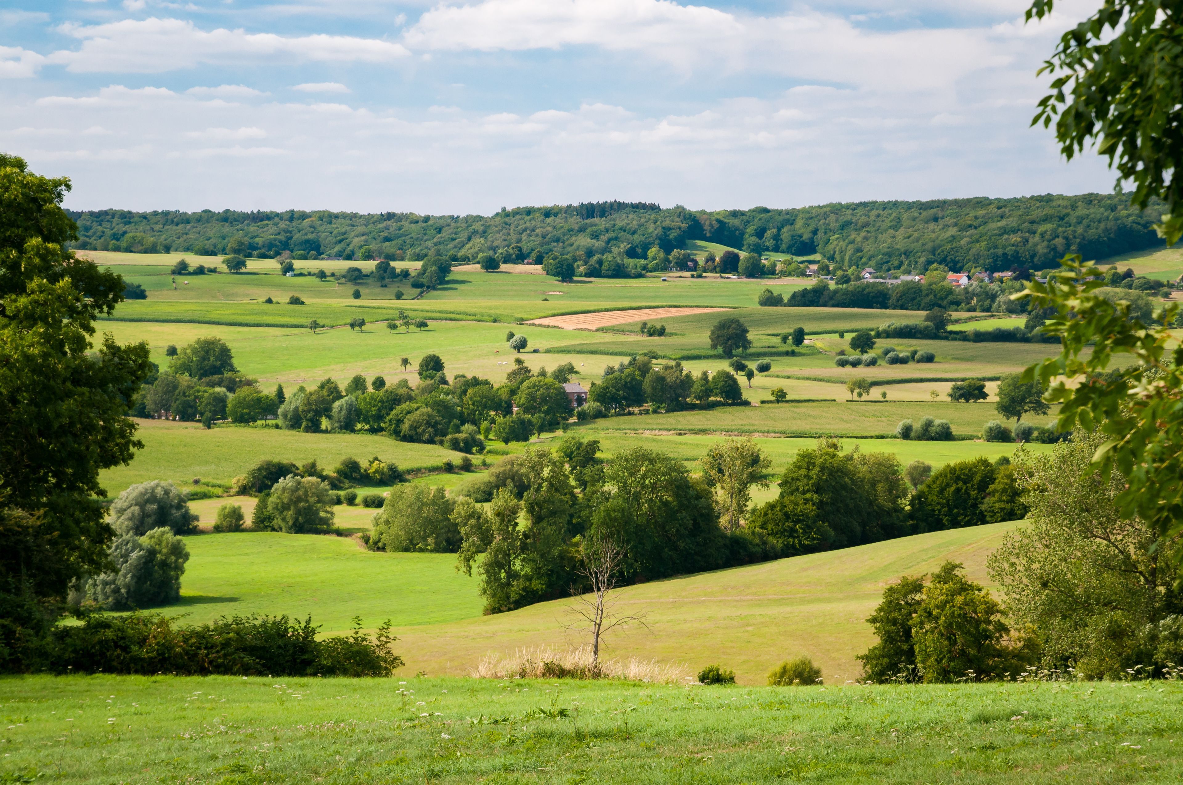 Omgeving