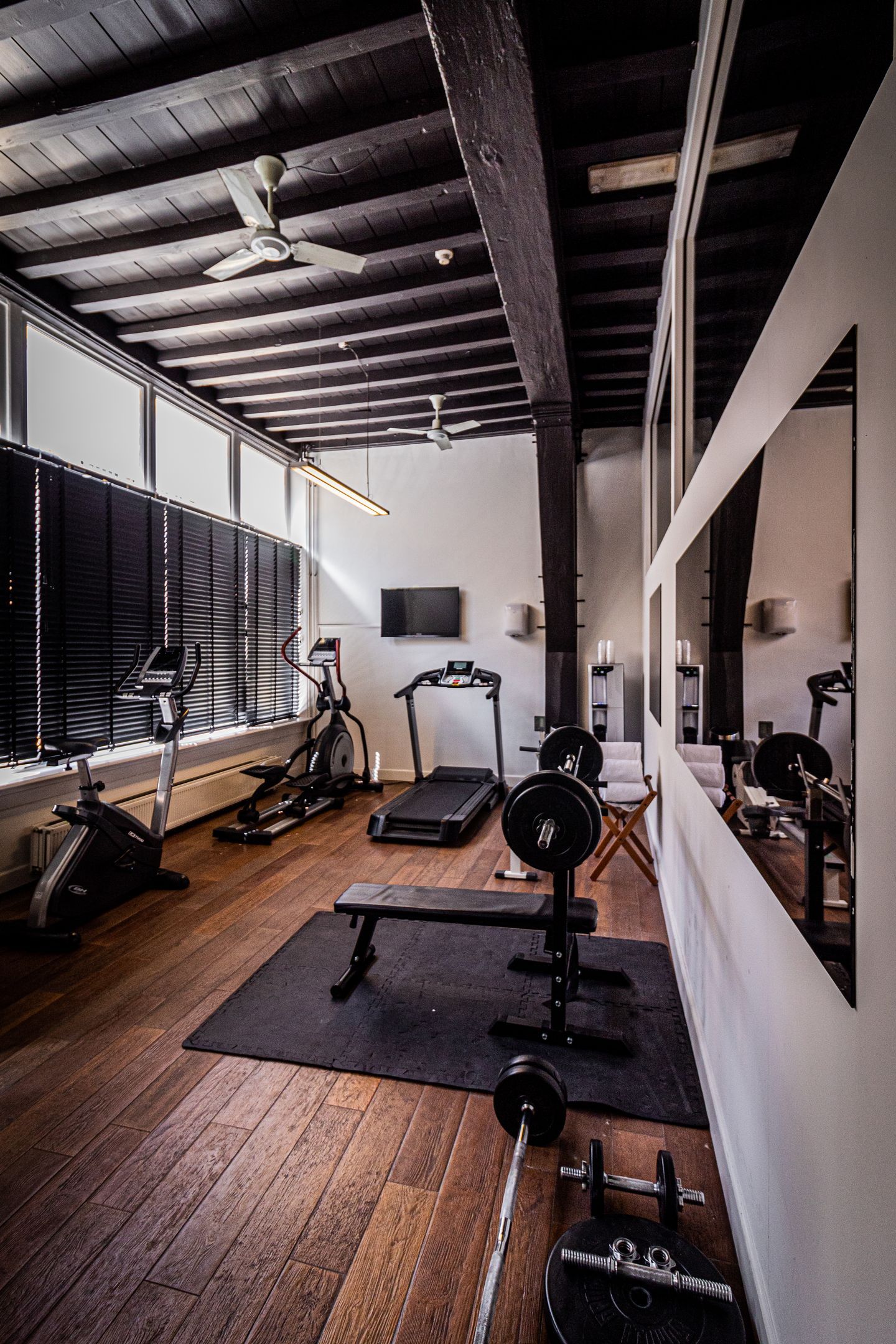 Wellness