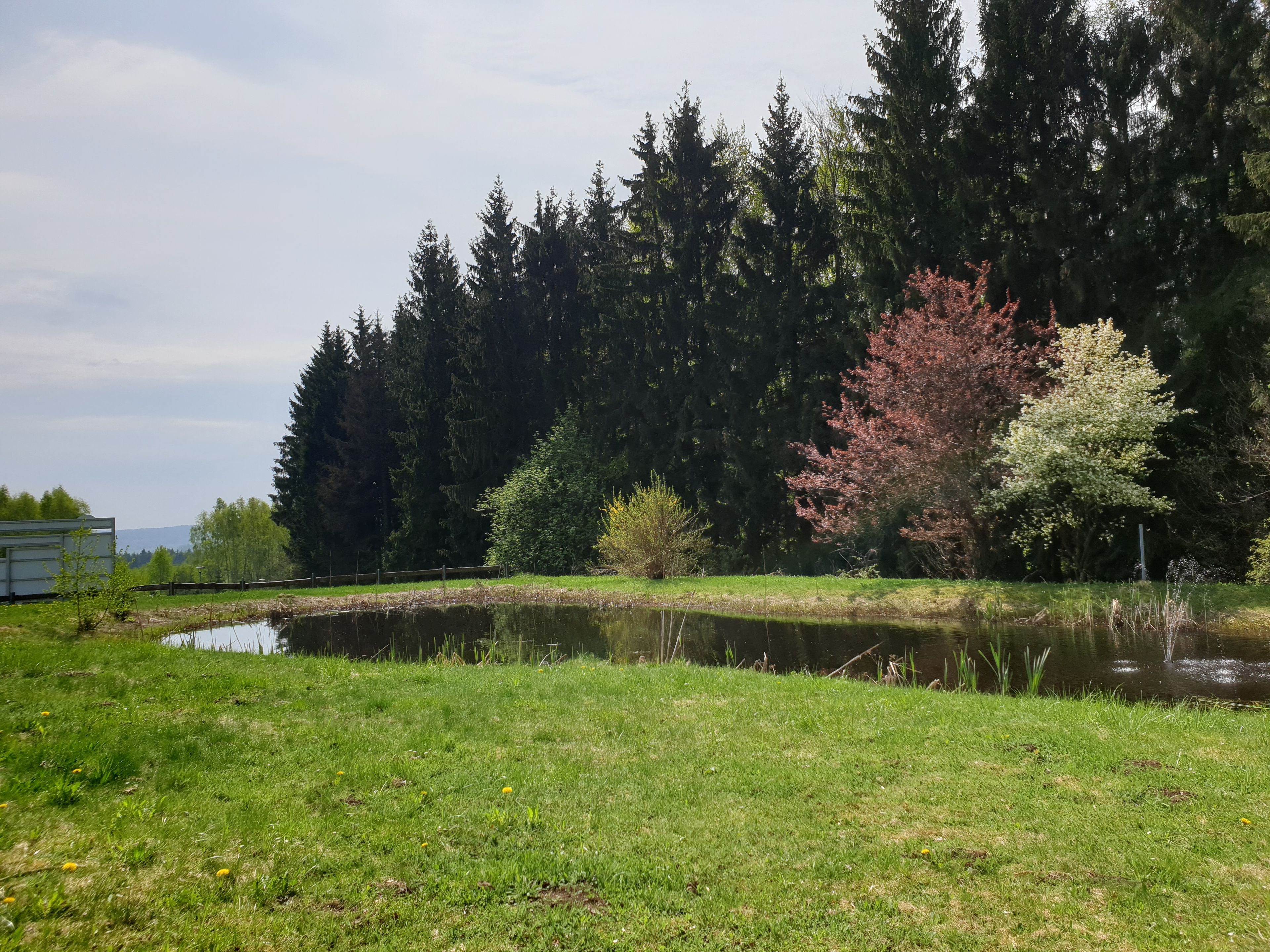 Omgeving