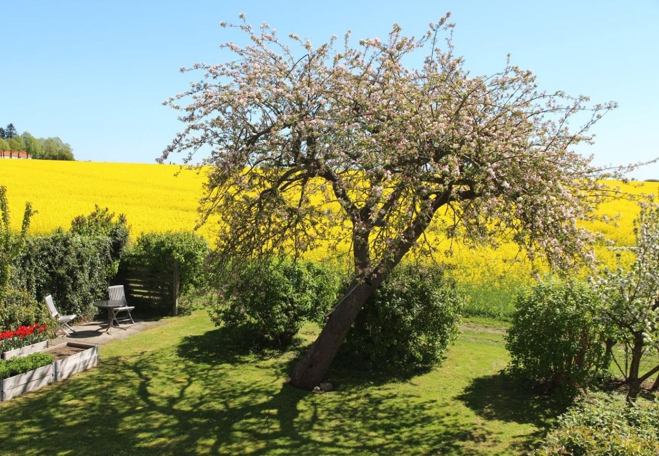 Omgeving