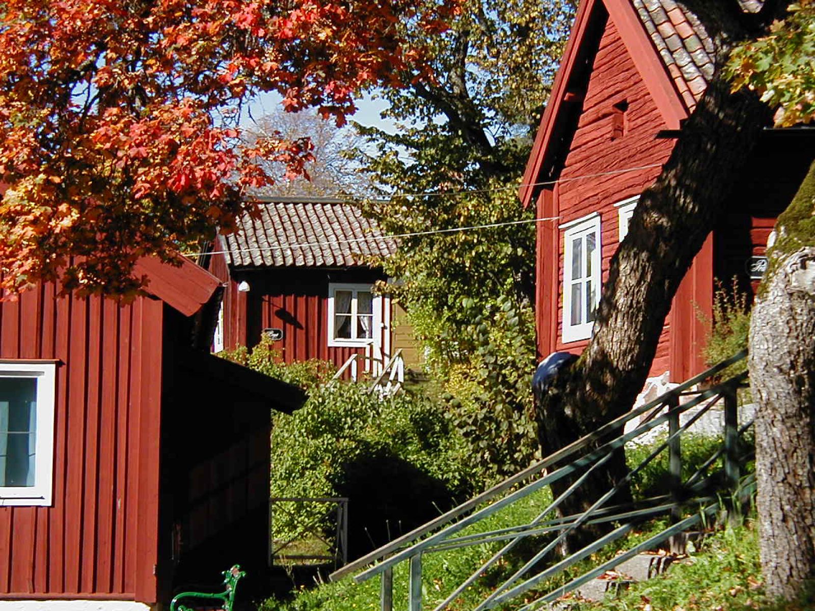 Omgeving