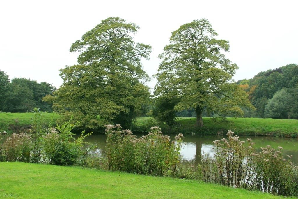 Omgeving