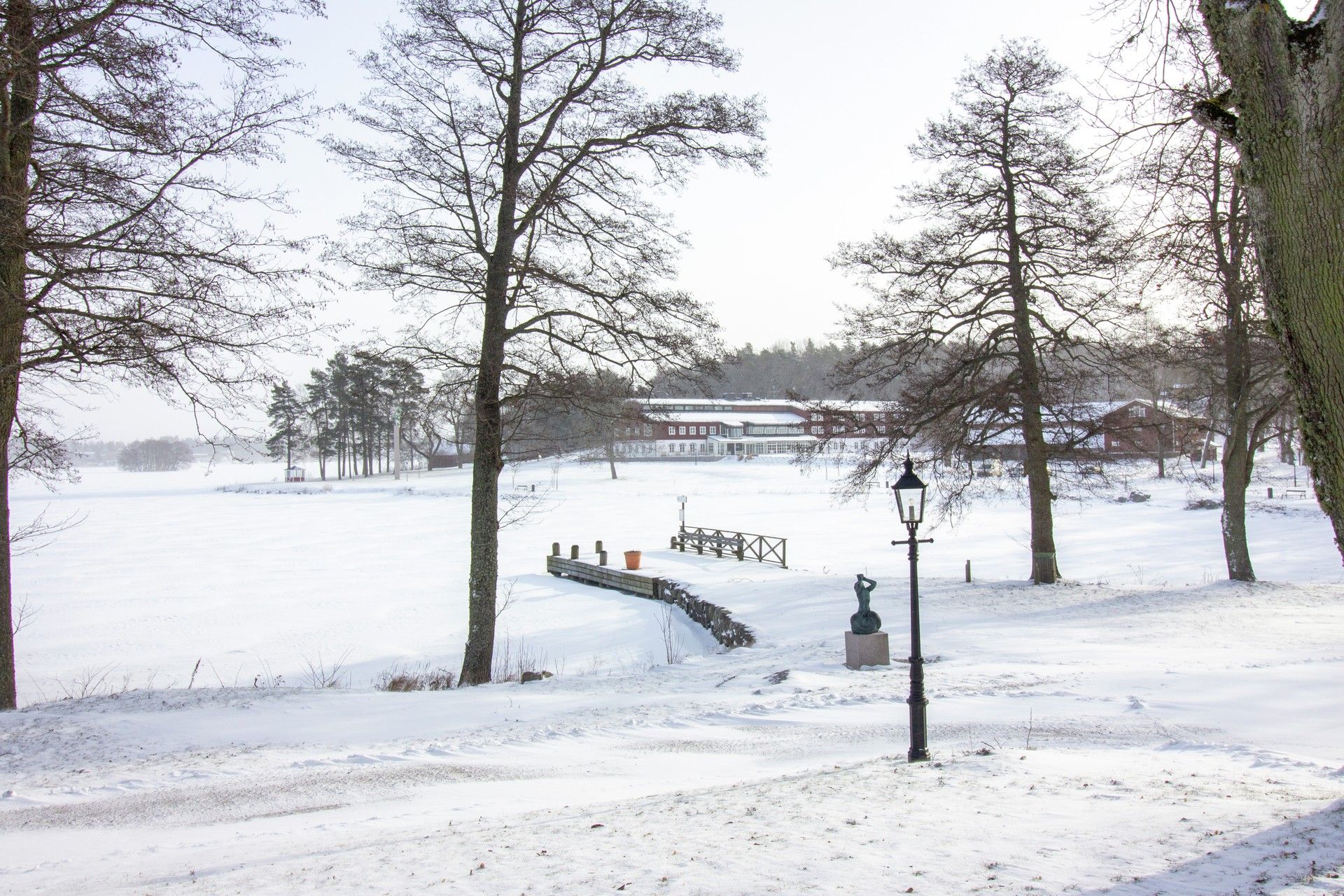 Omgeving