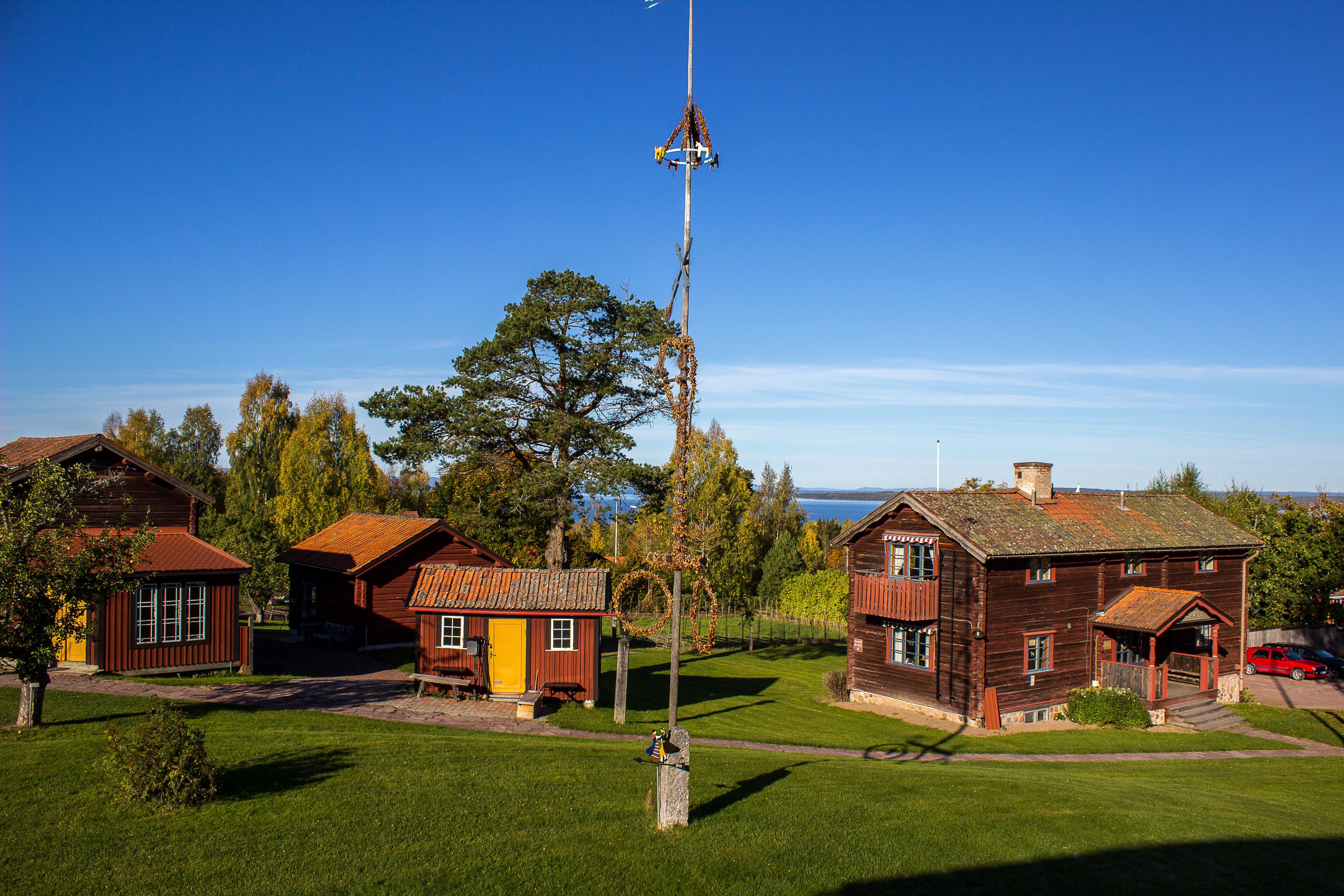 Omgeving
