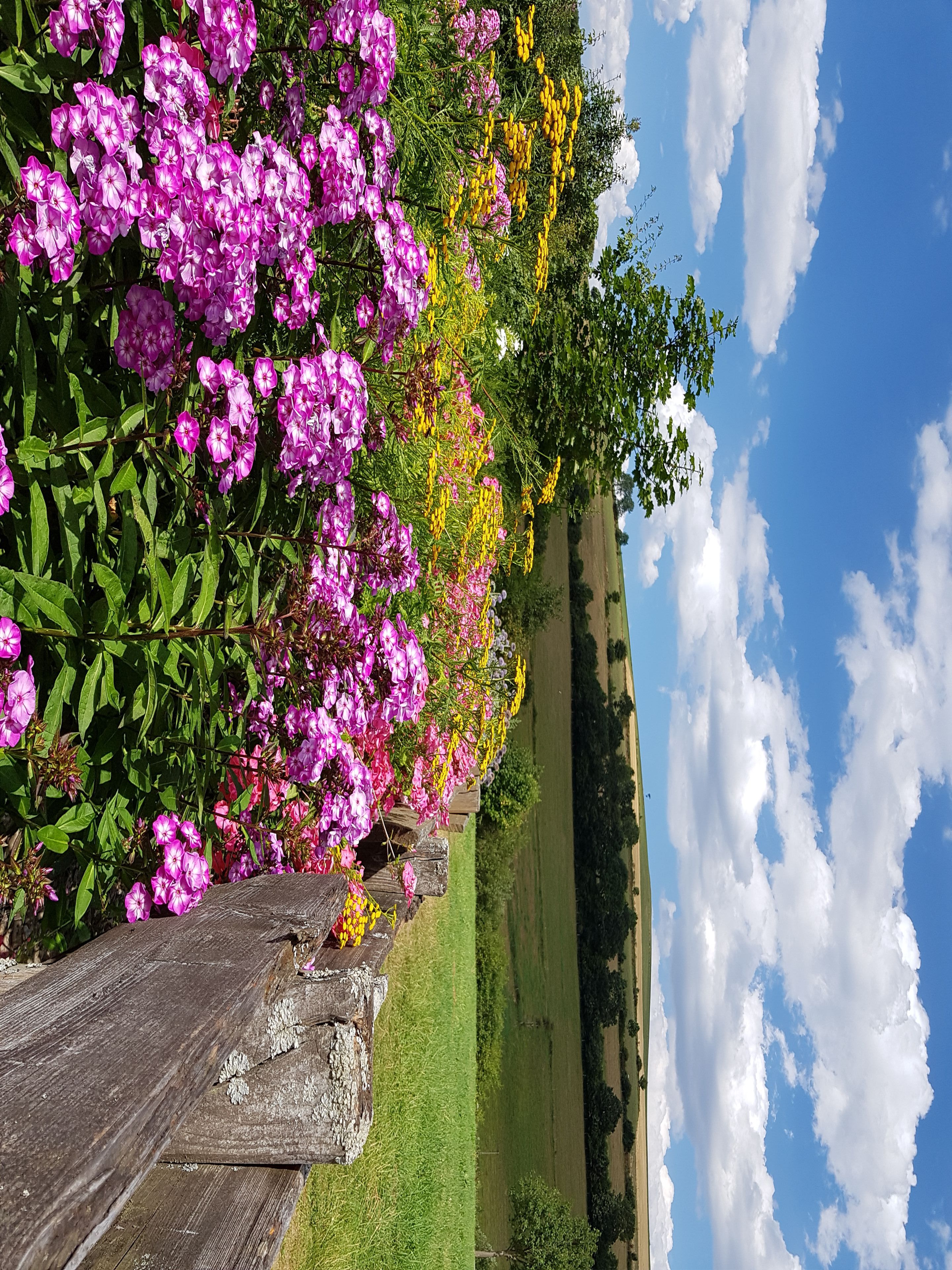 Omgeving