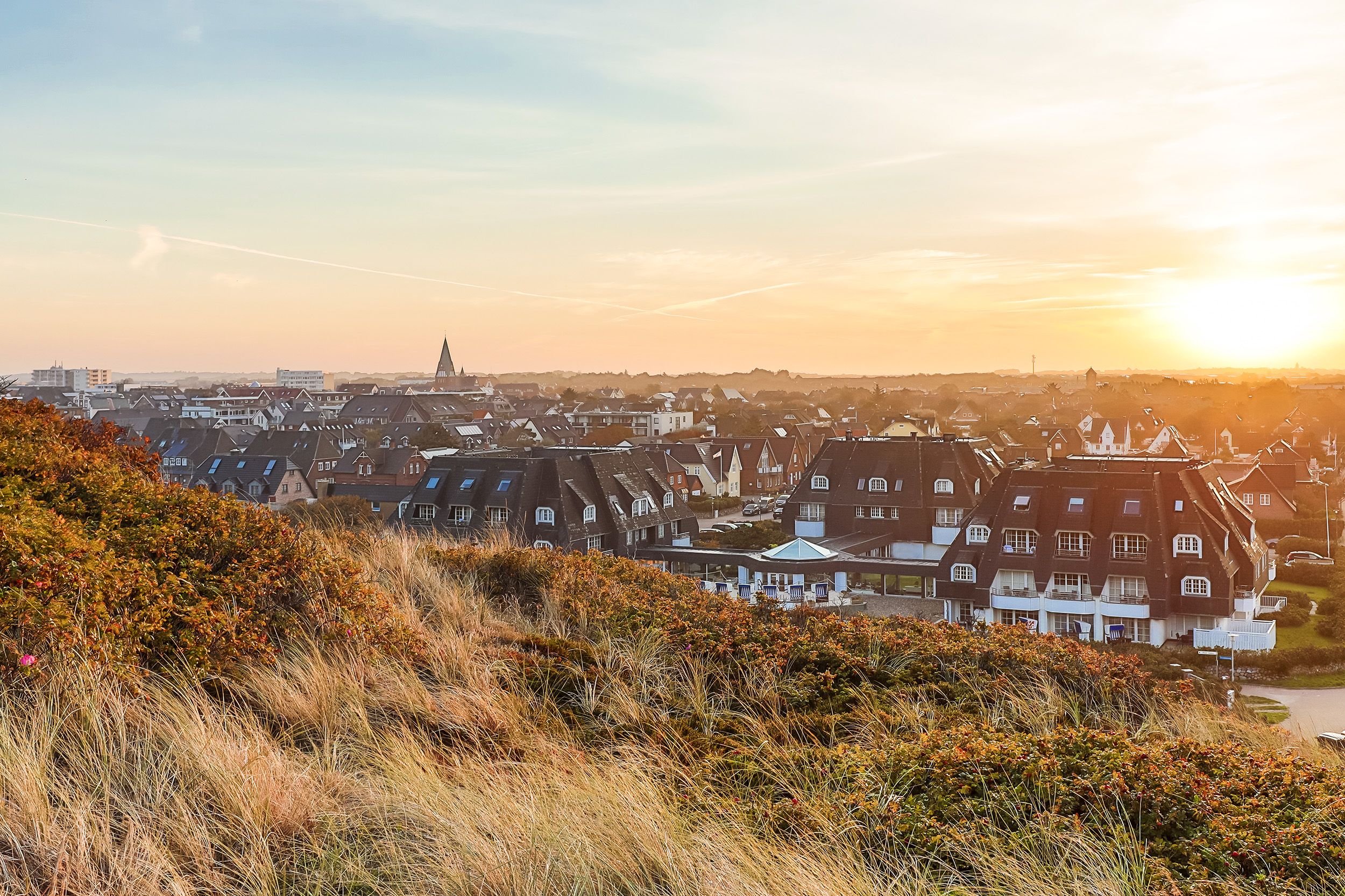 Omgeving