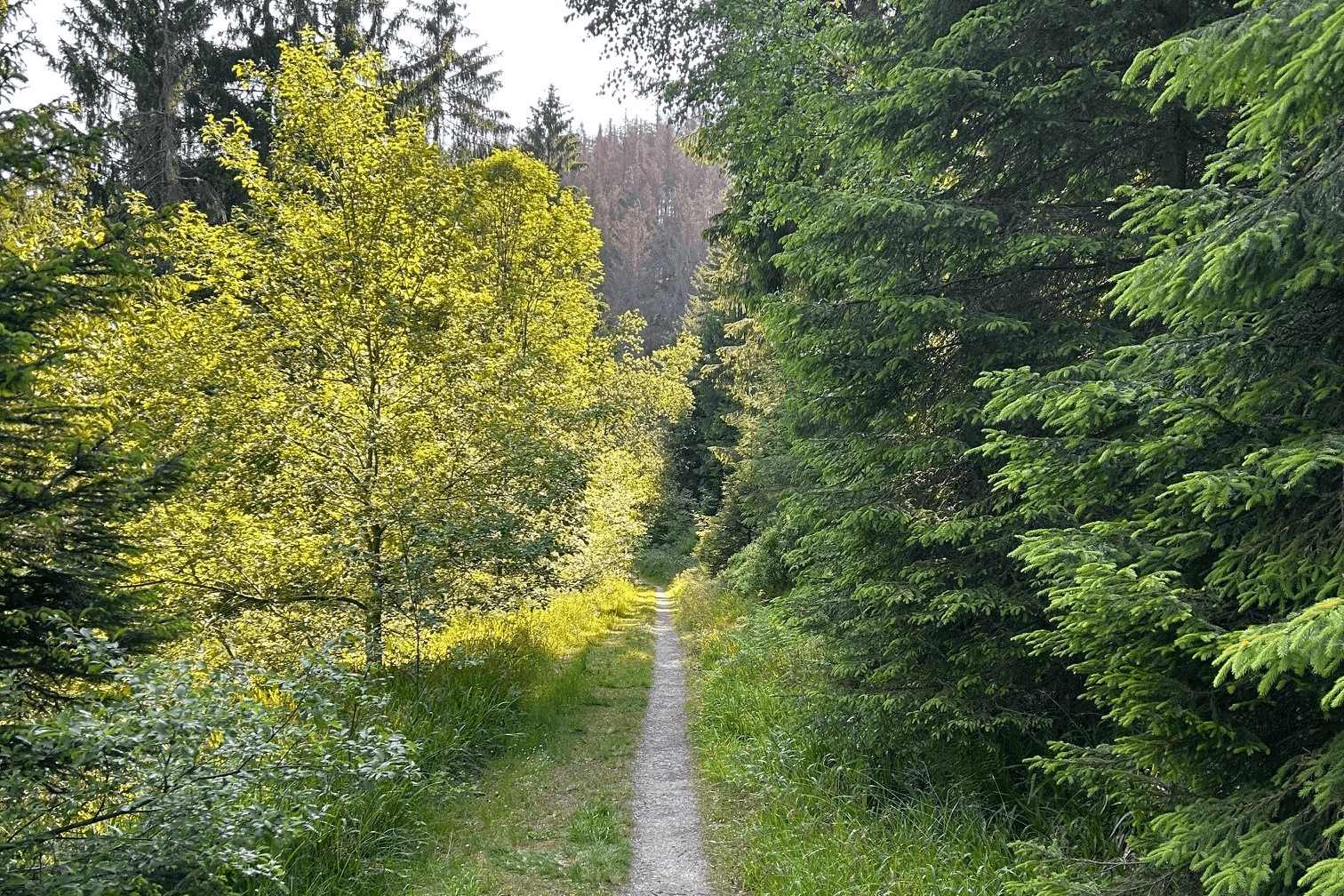 Omgeving