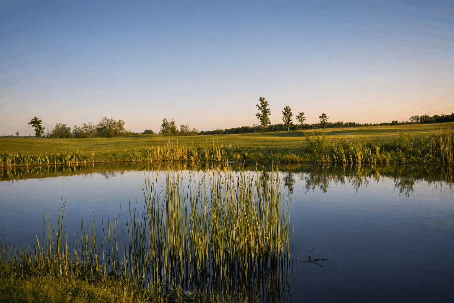 Omgeving