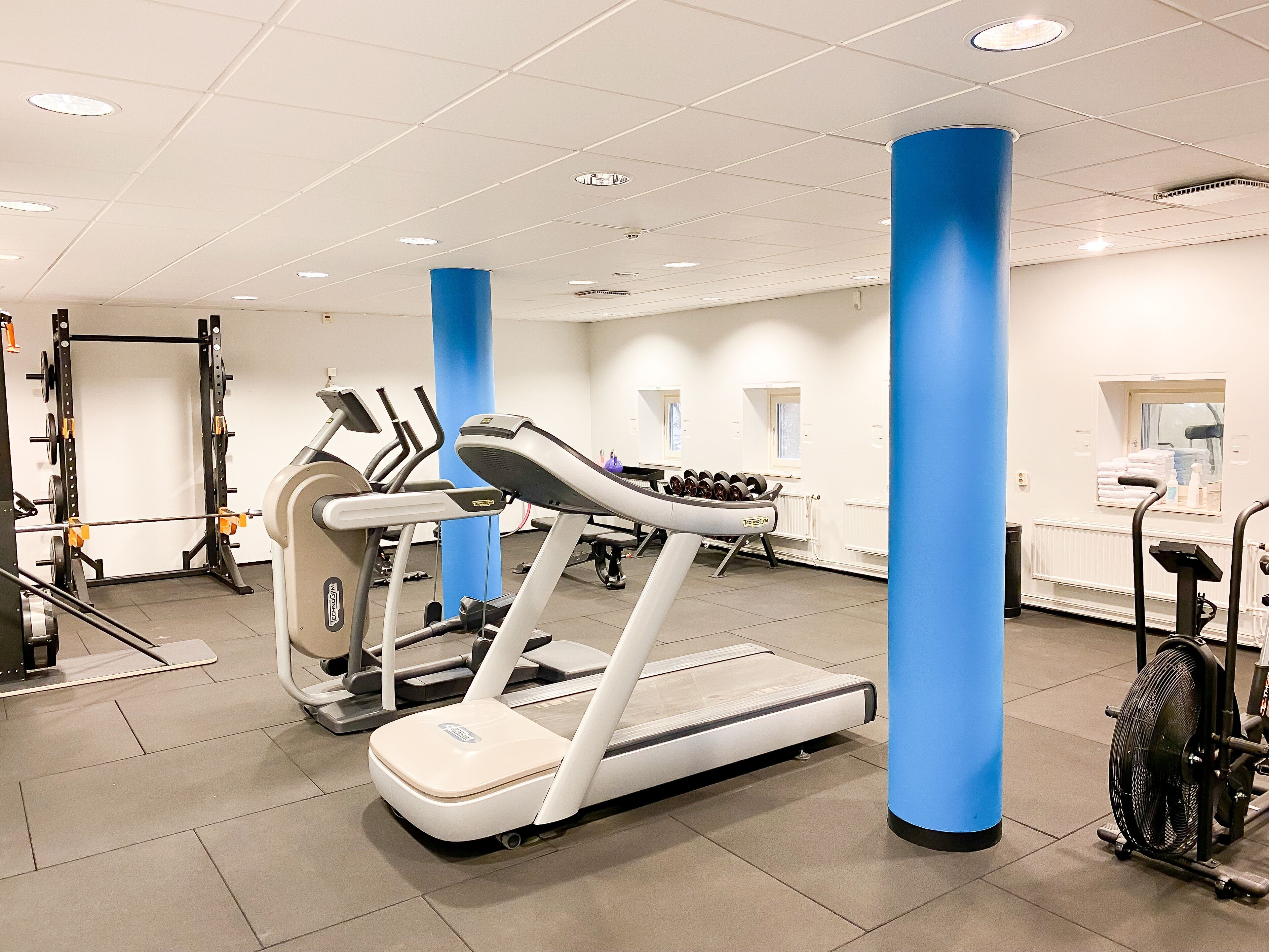 Wellness