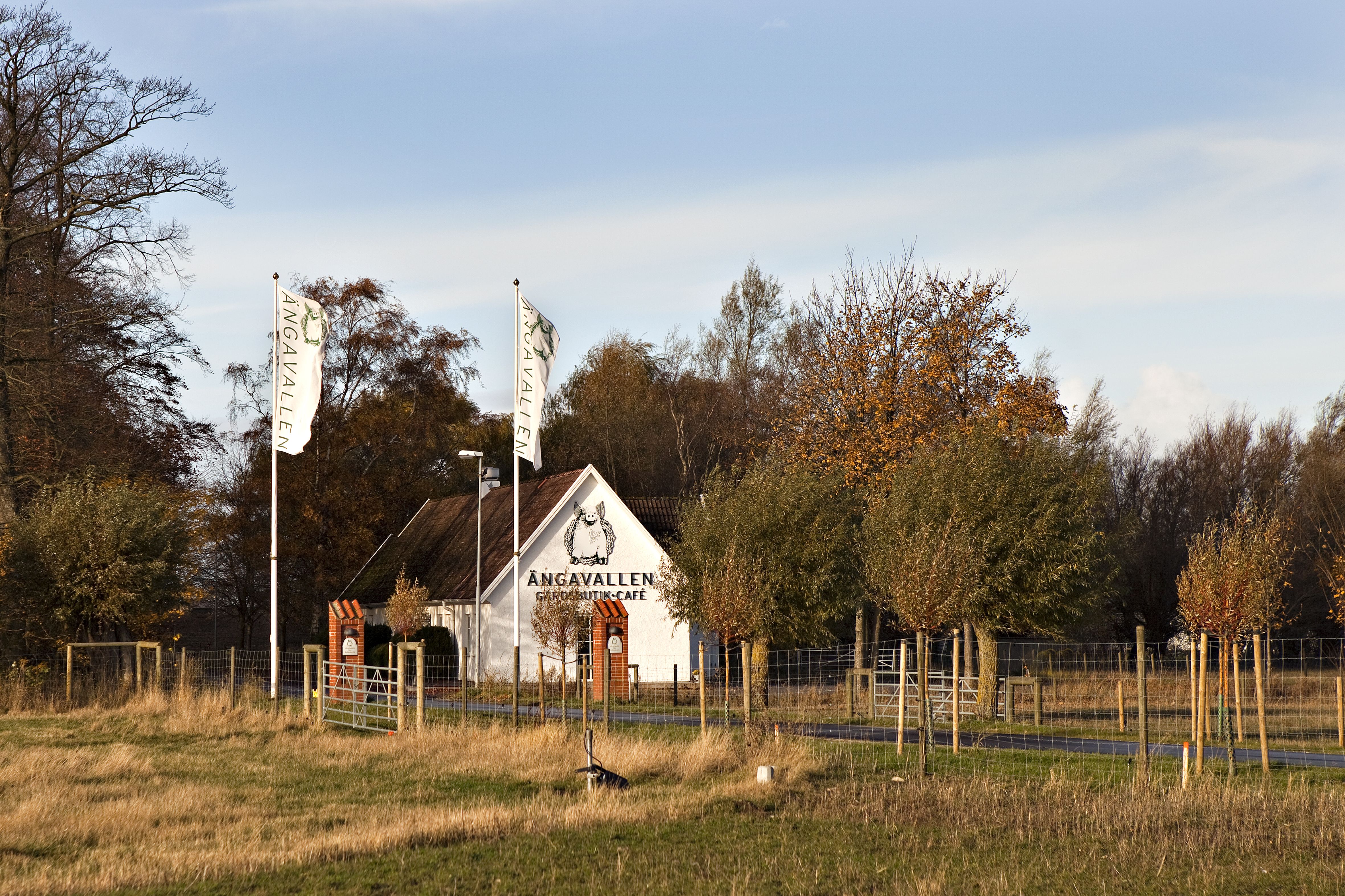 Omgeving
