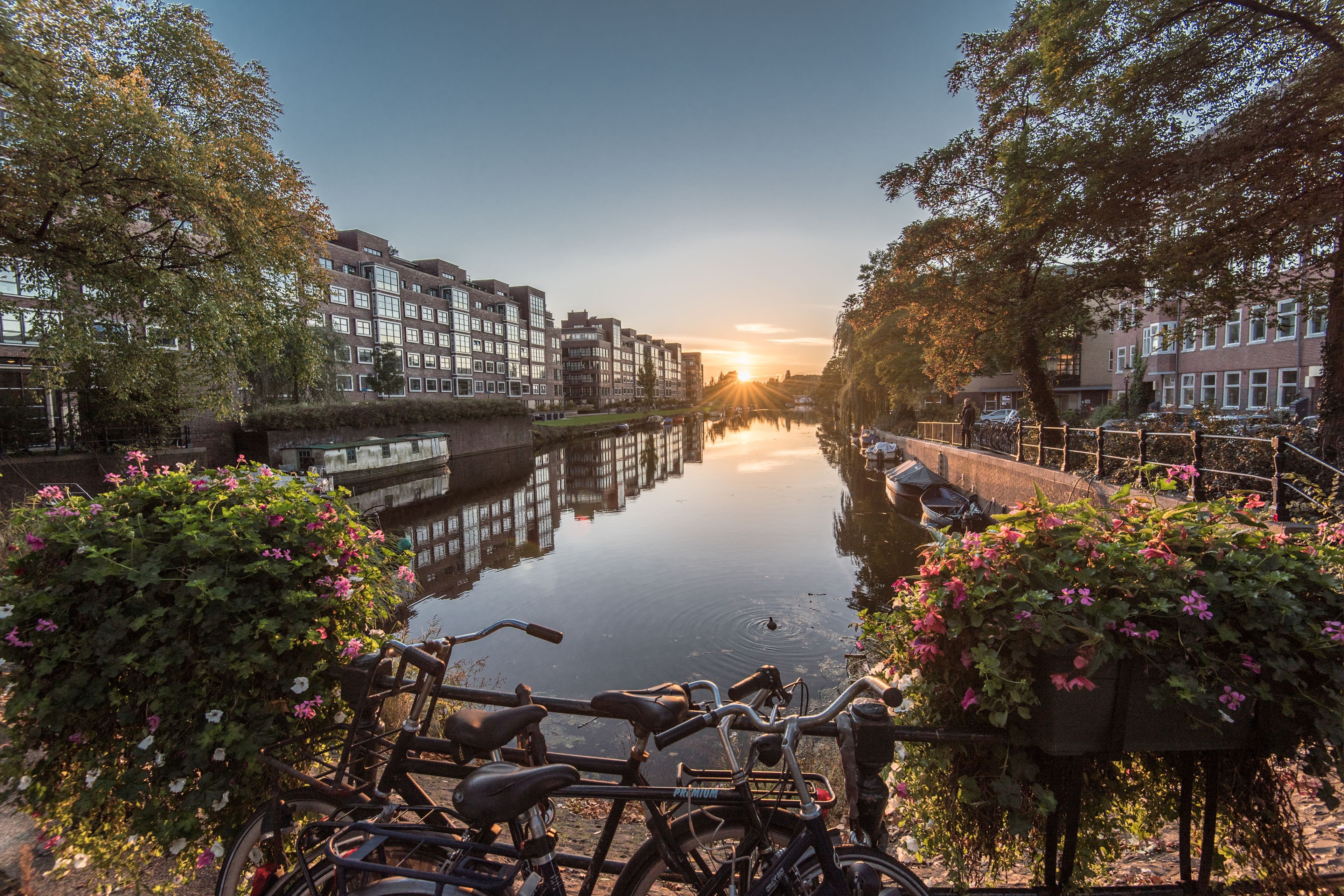 Omgeving