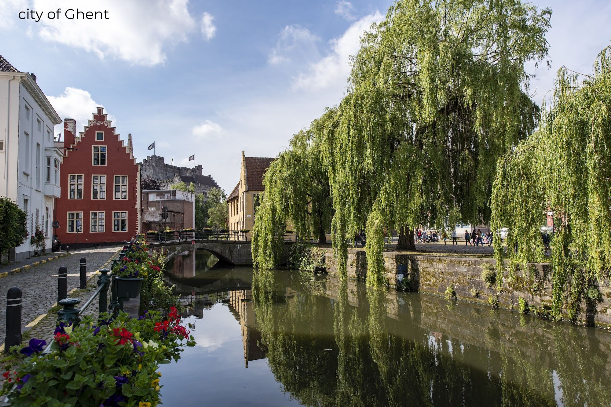 Omgeving