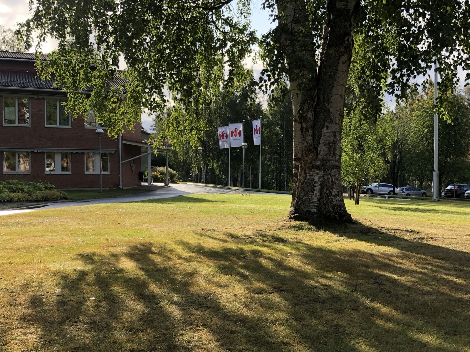 Omgeving