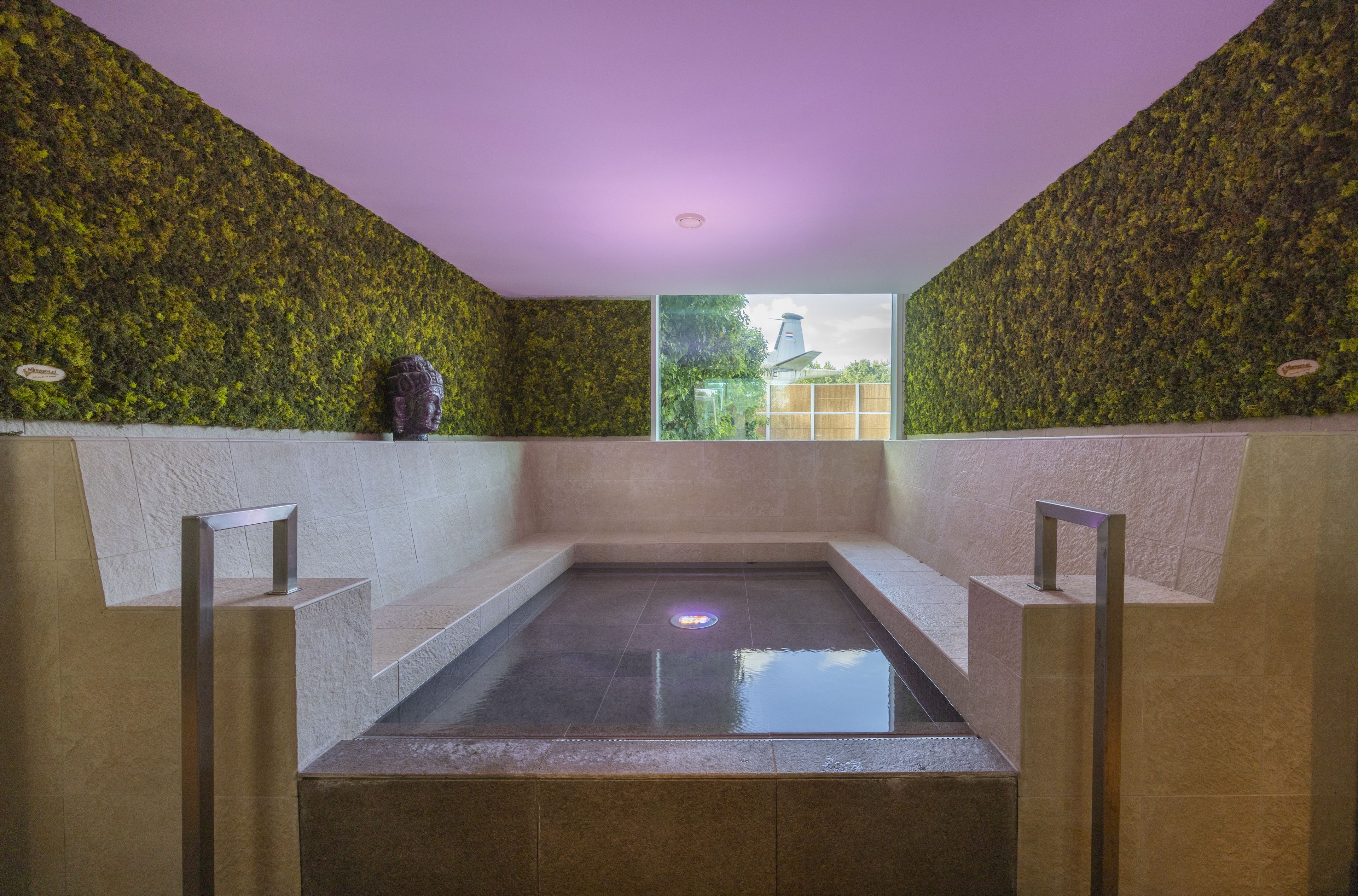 Wellness