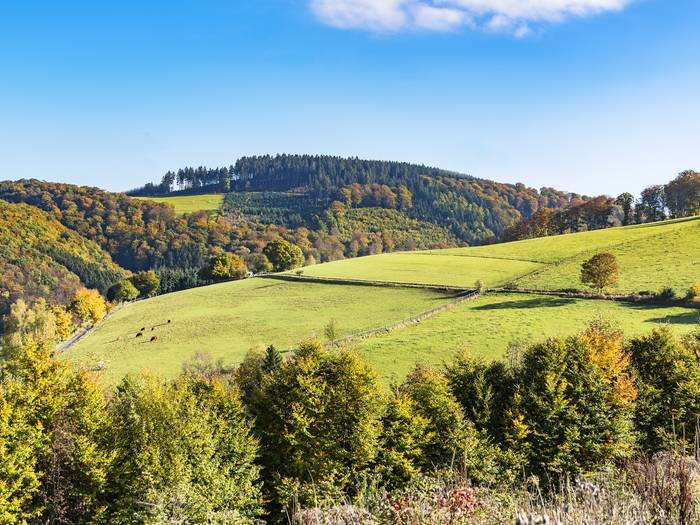 Hotels in Sauerland