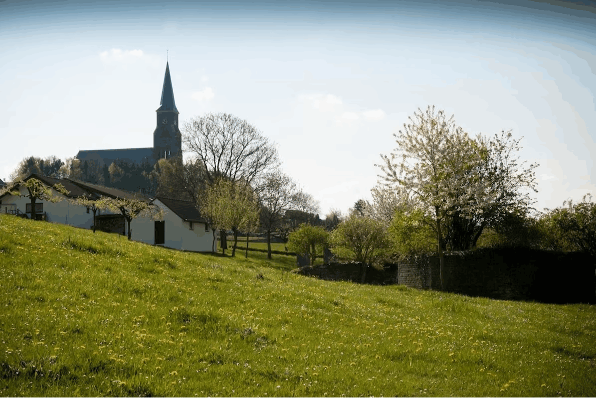 Omgeving