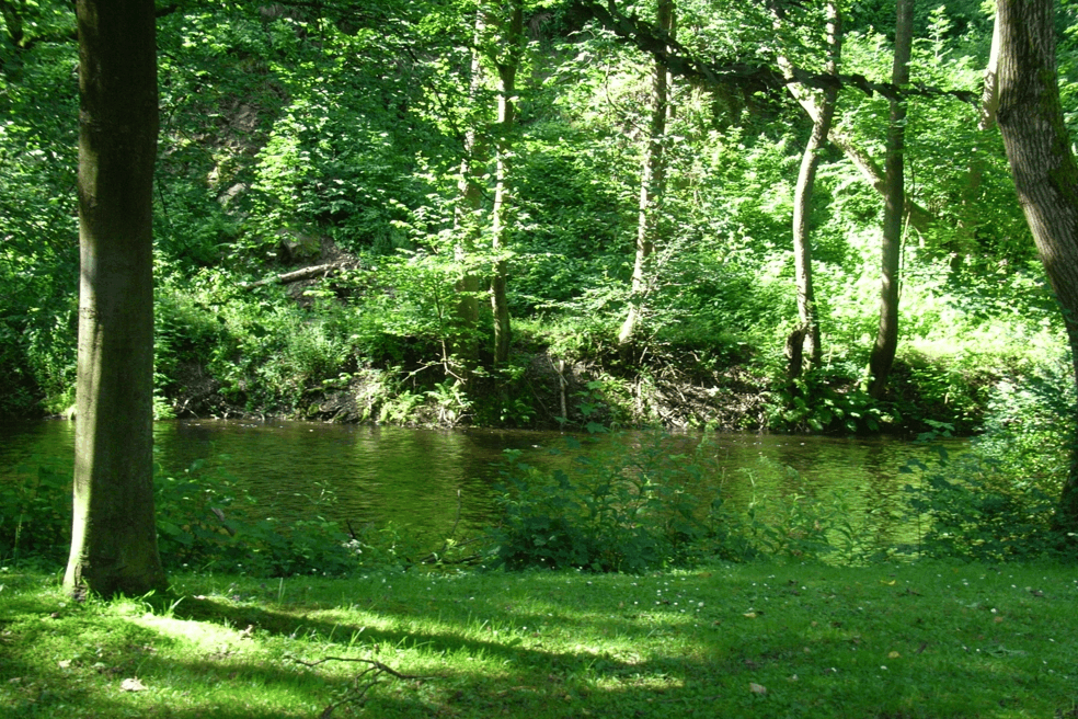 Omgeving