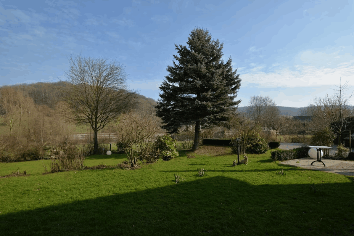 Omgeving