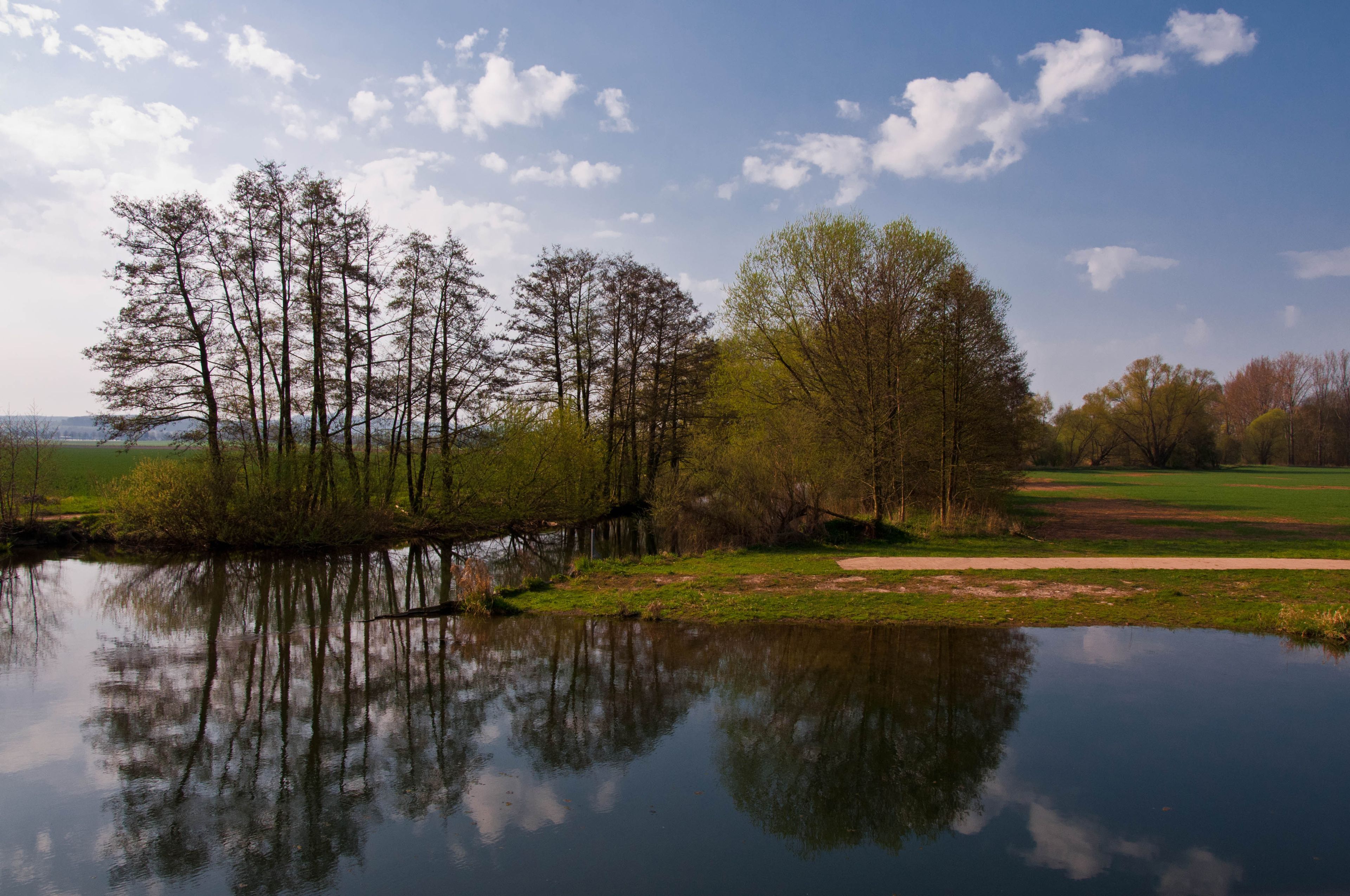 Omgeving