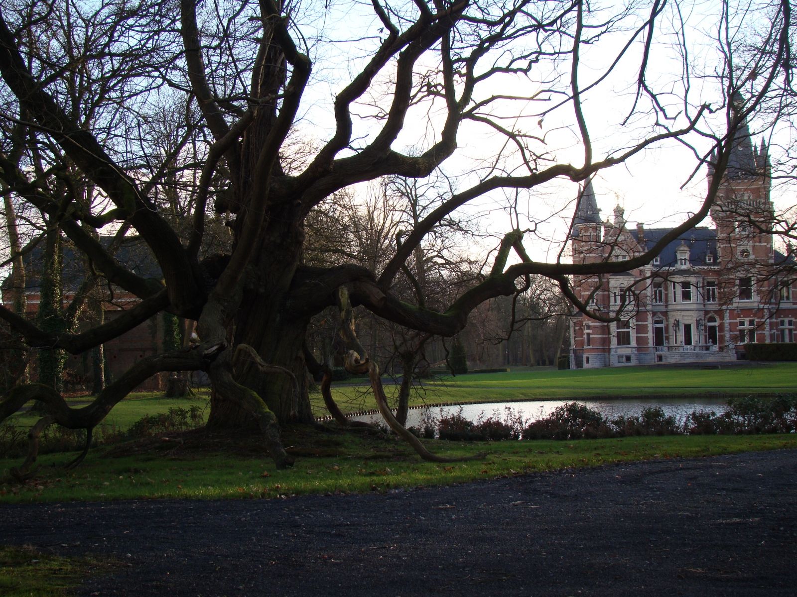 Omgeving
