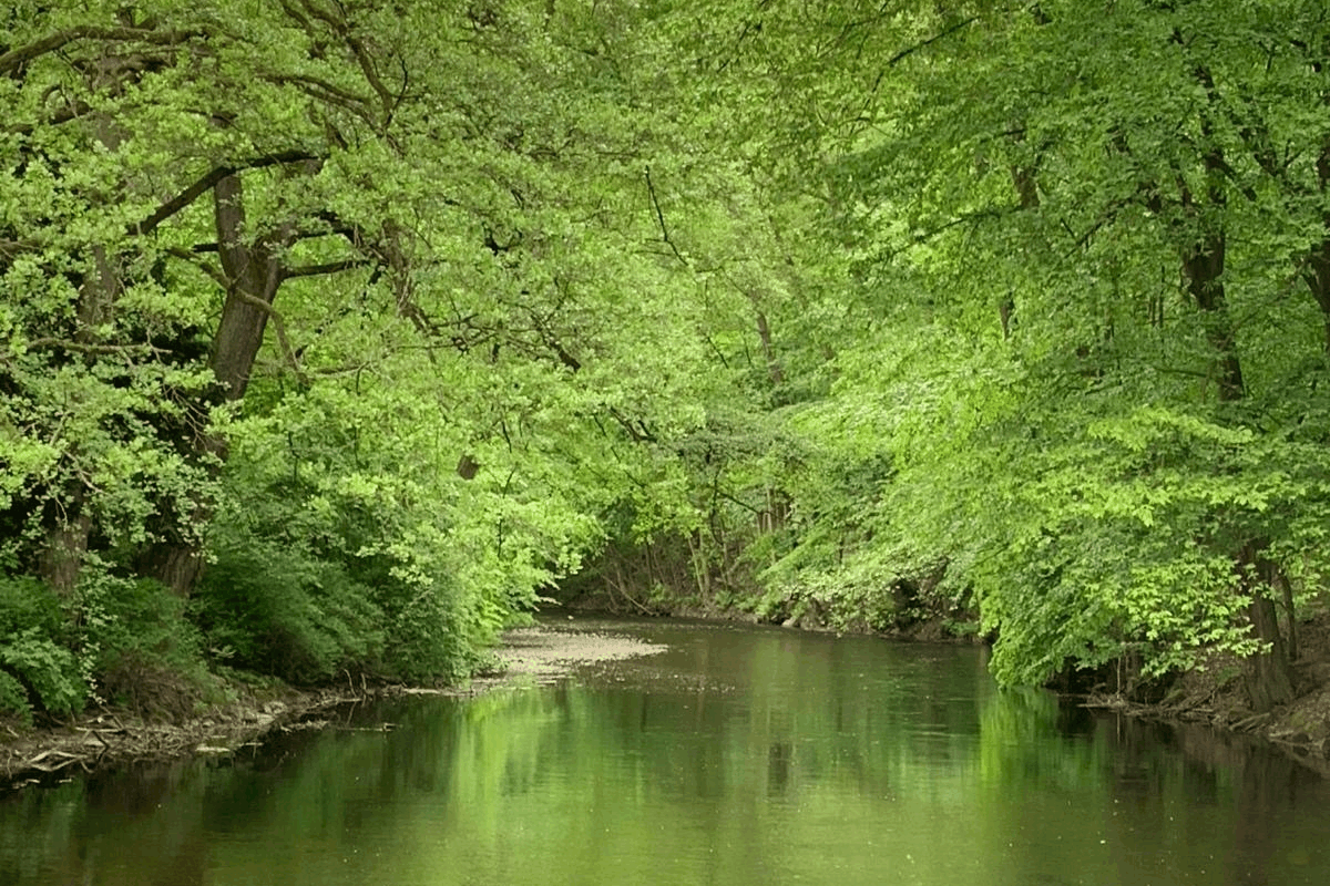 Omgeving