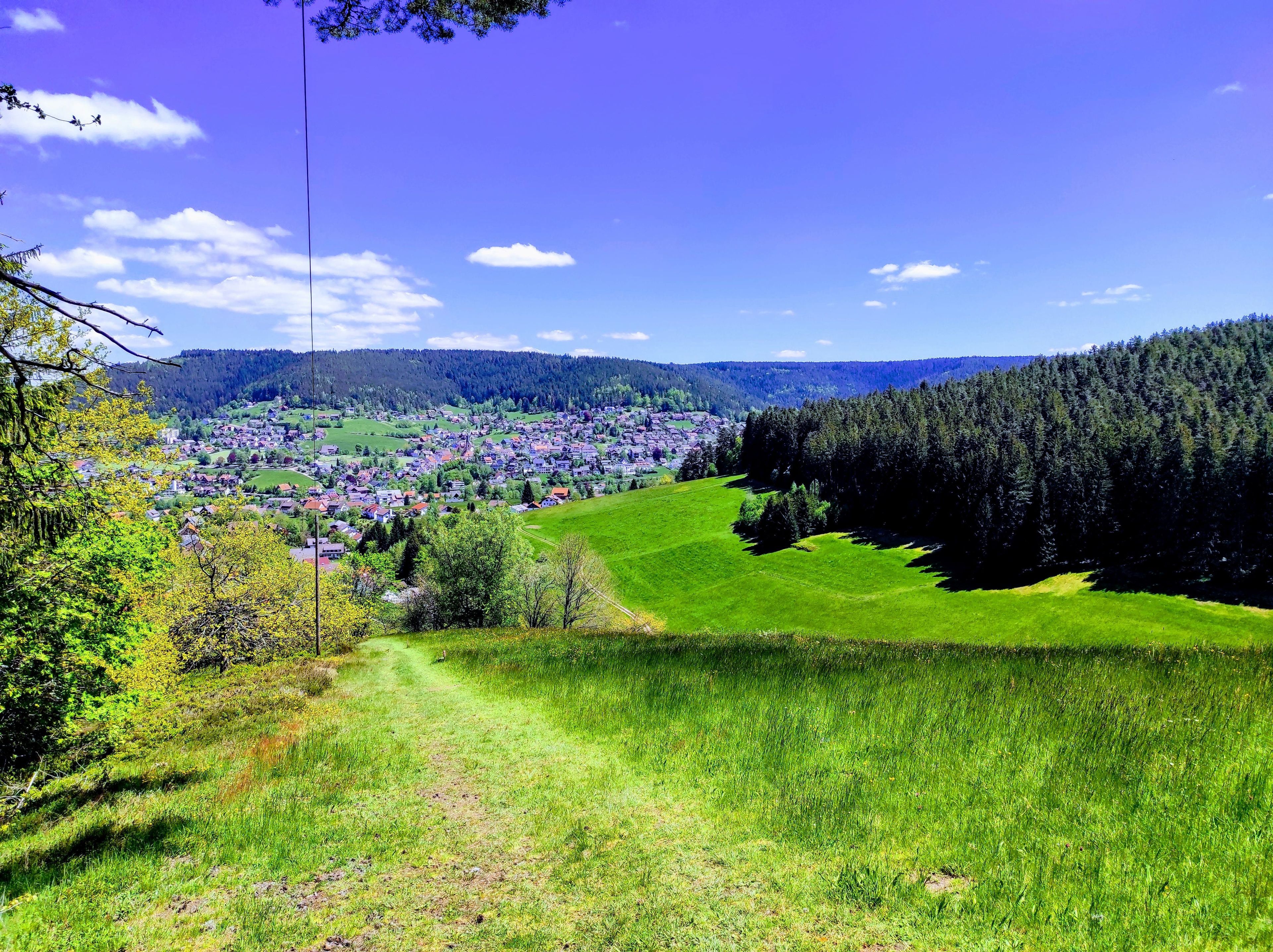 Omgeving