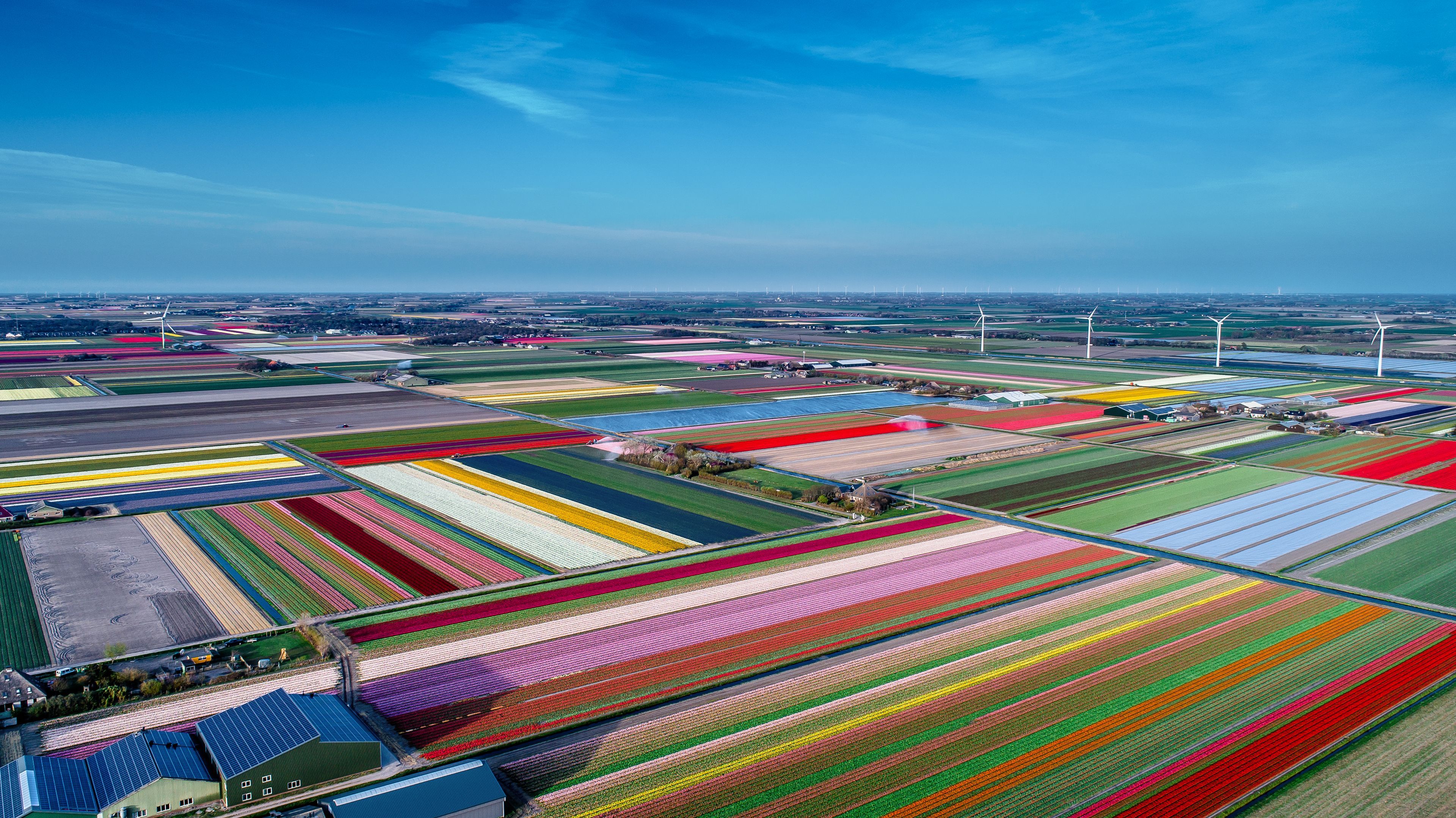 Omgeving