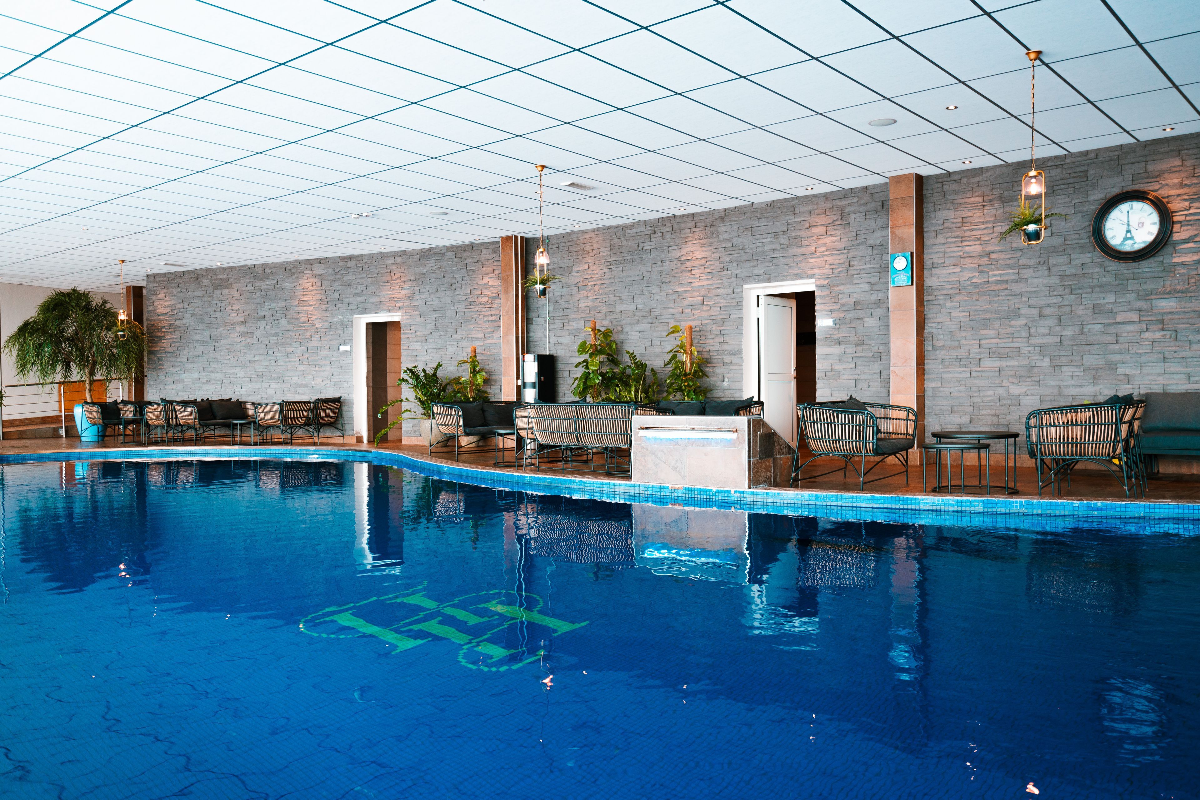 Wellness