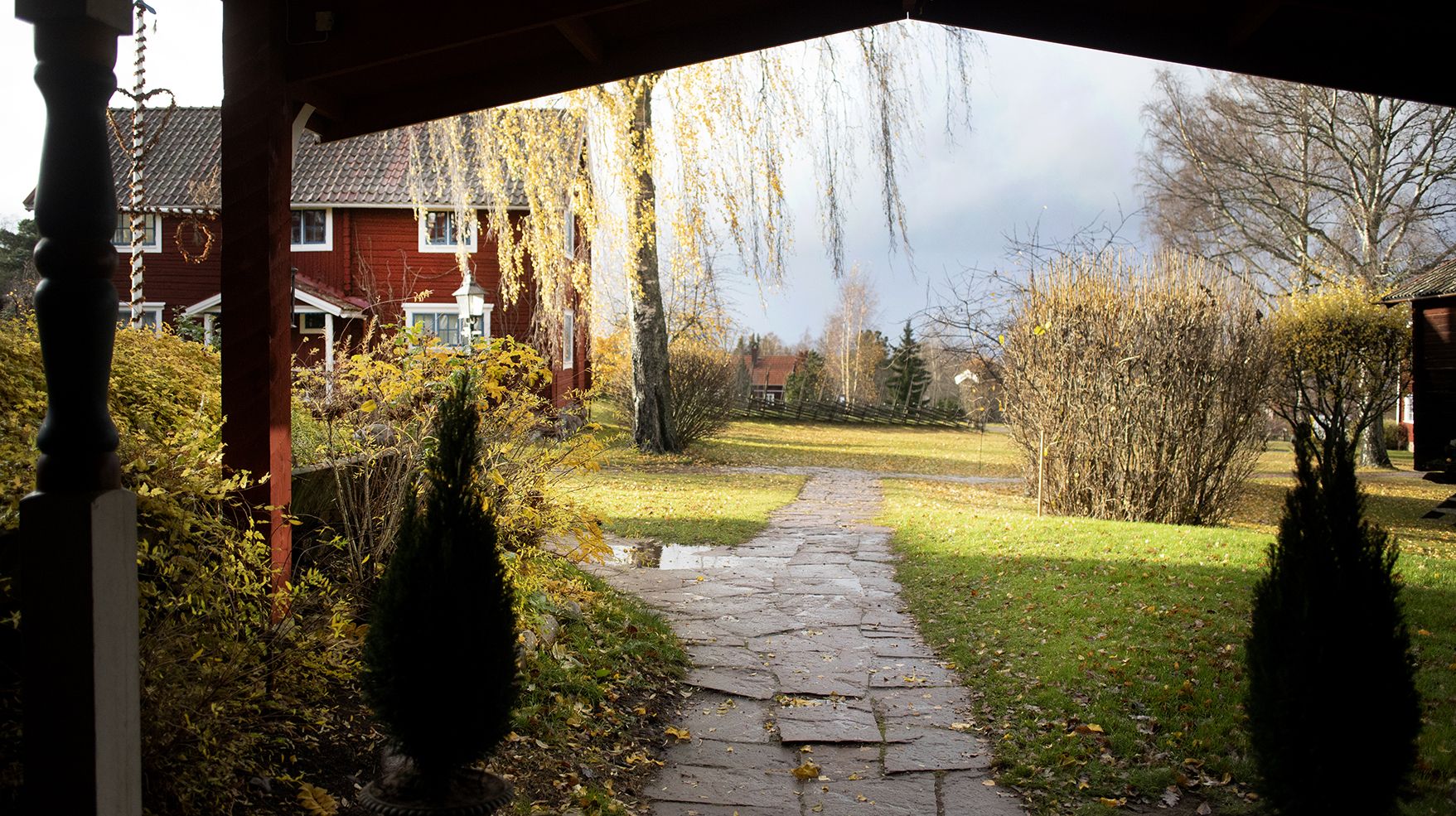 Omgeving