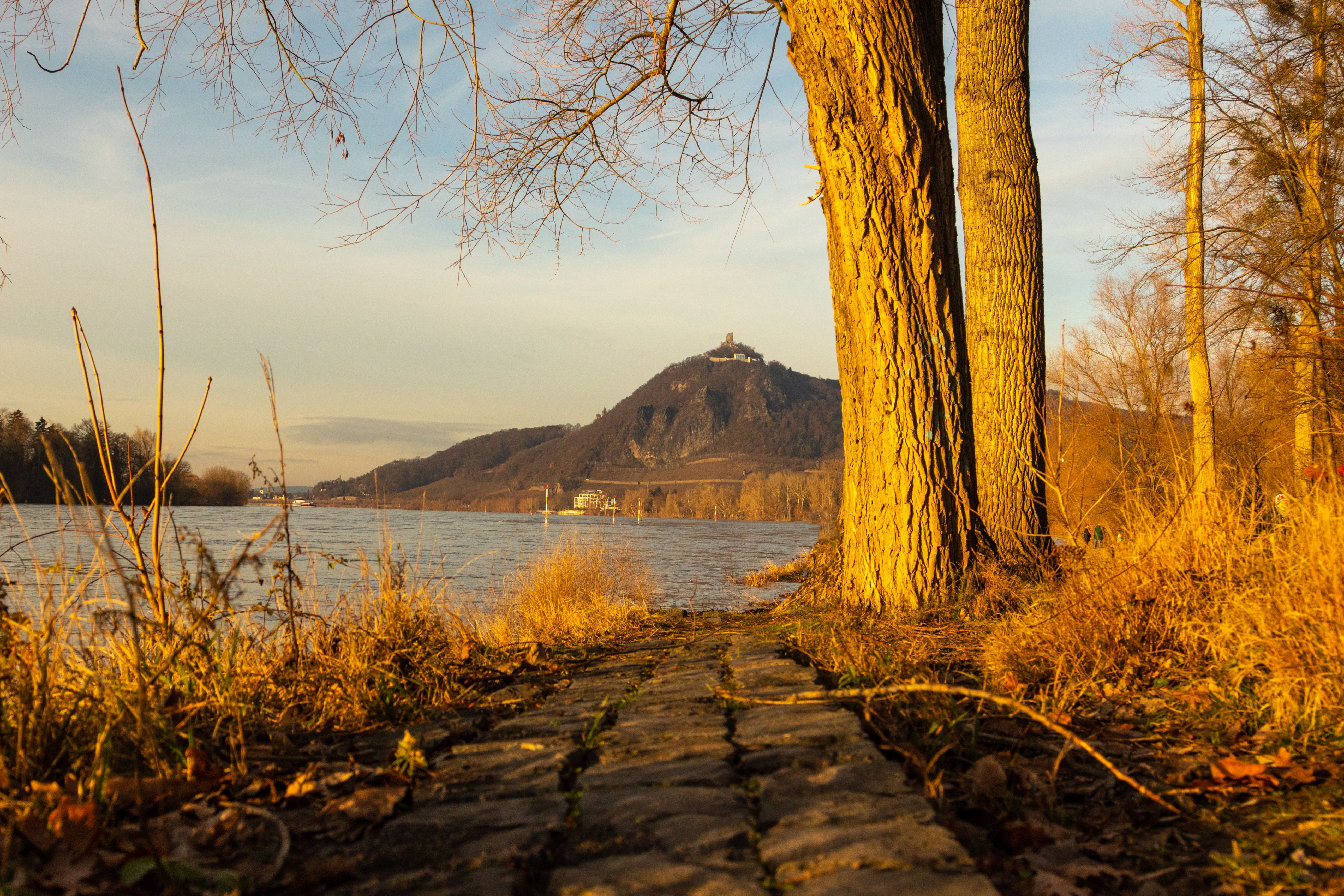 Omgeving