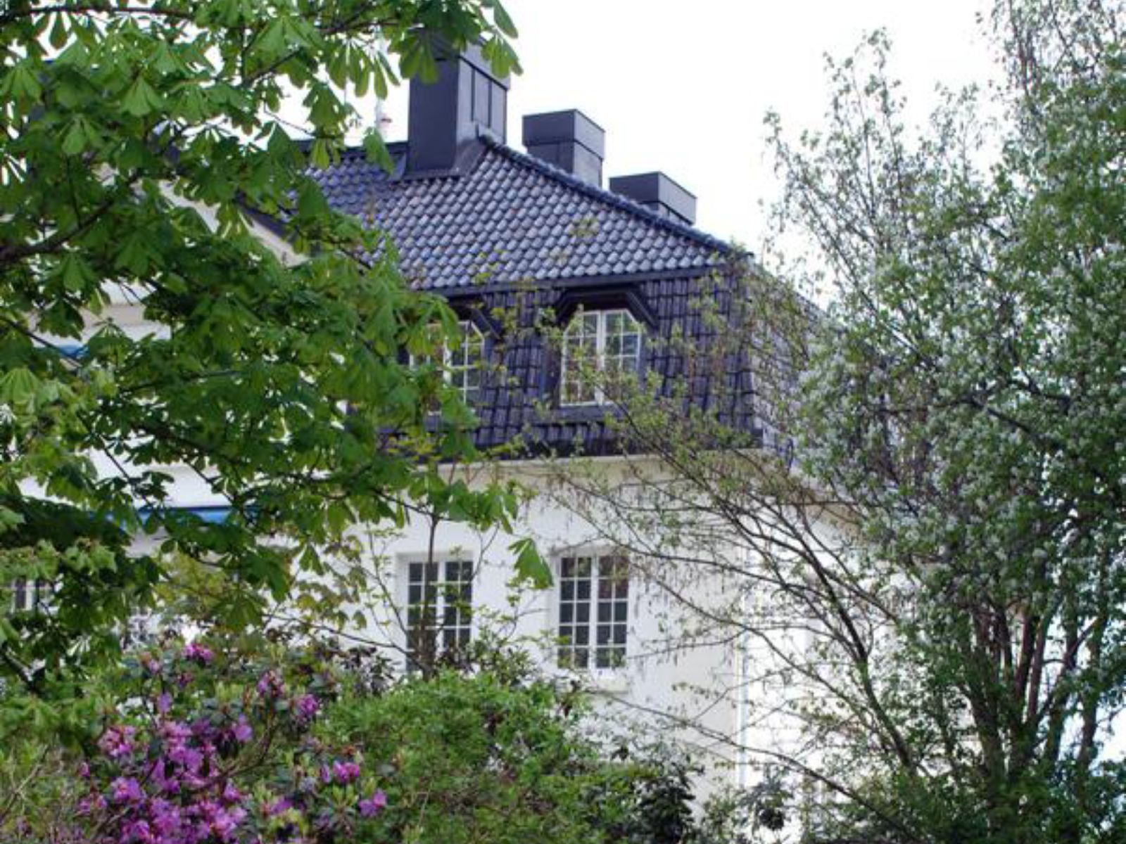 Omgeving