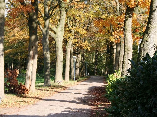 Omgeving