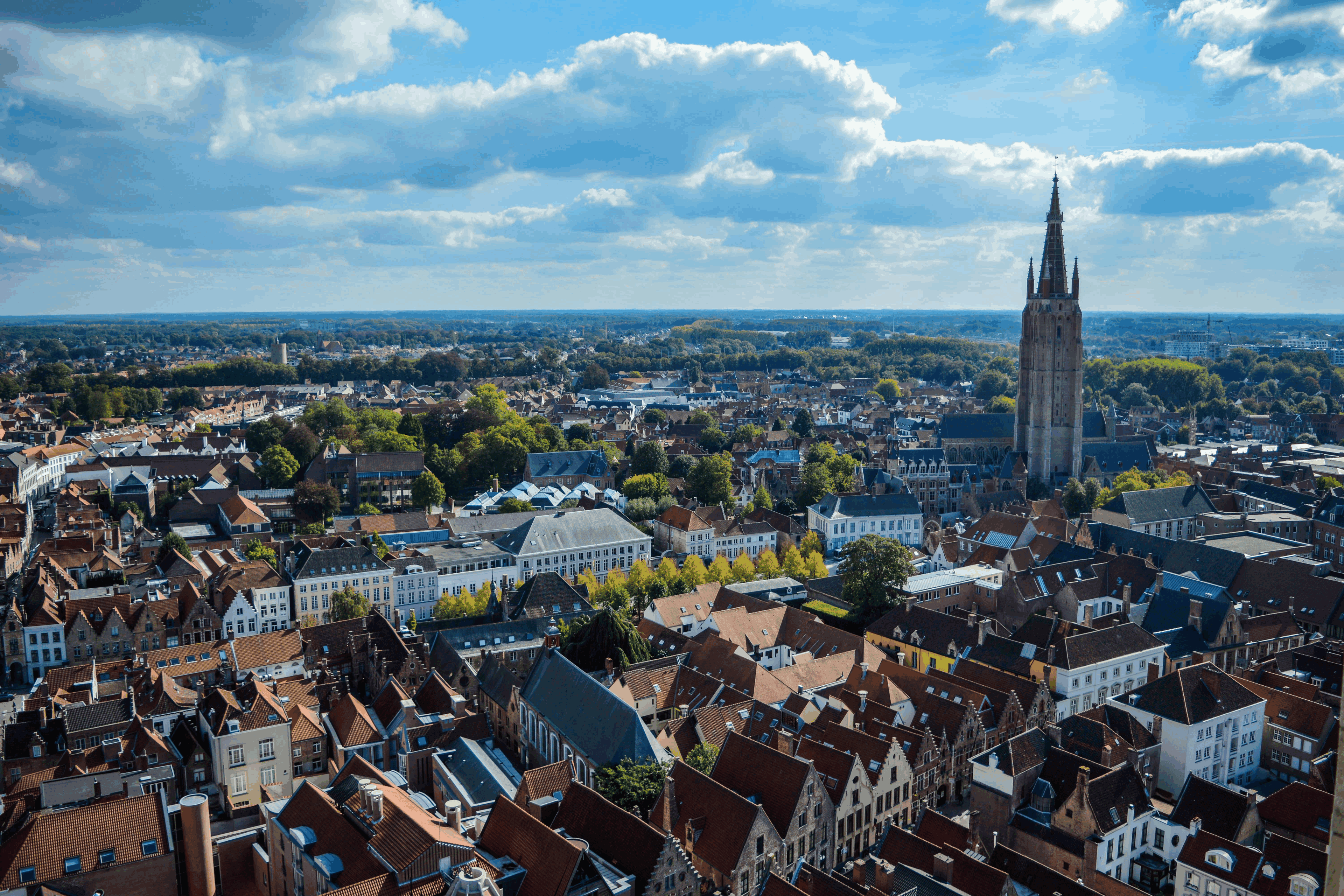 Omgeving