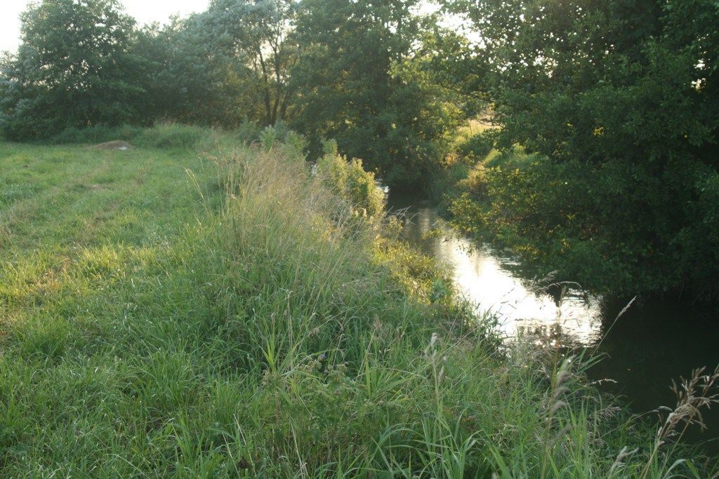 Omgeving